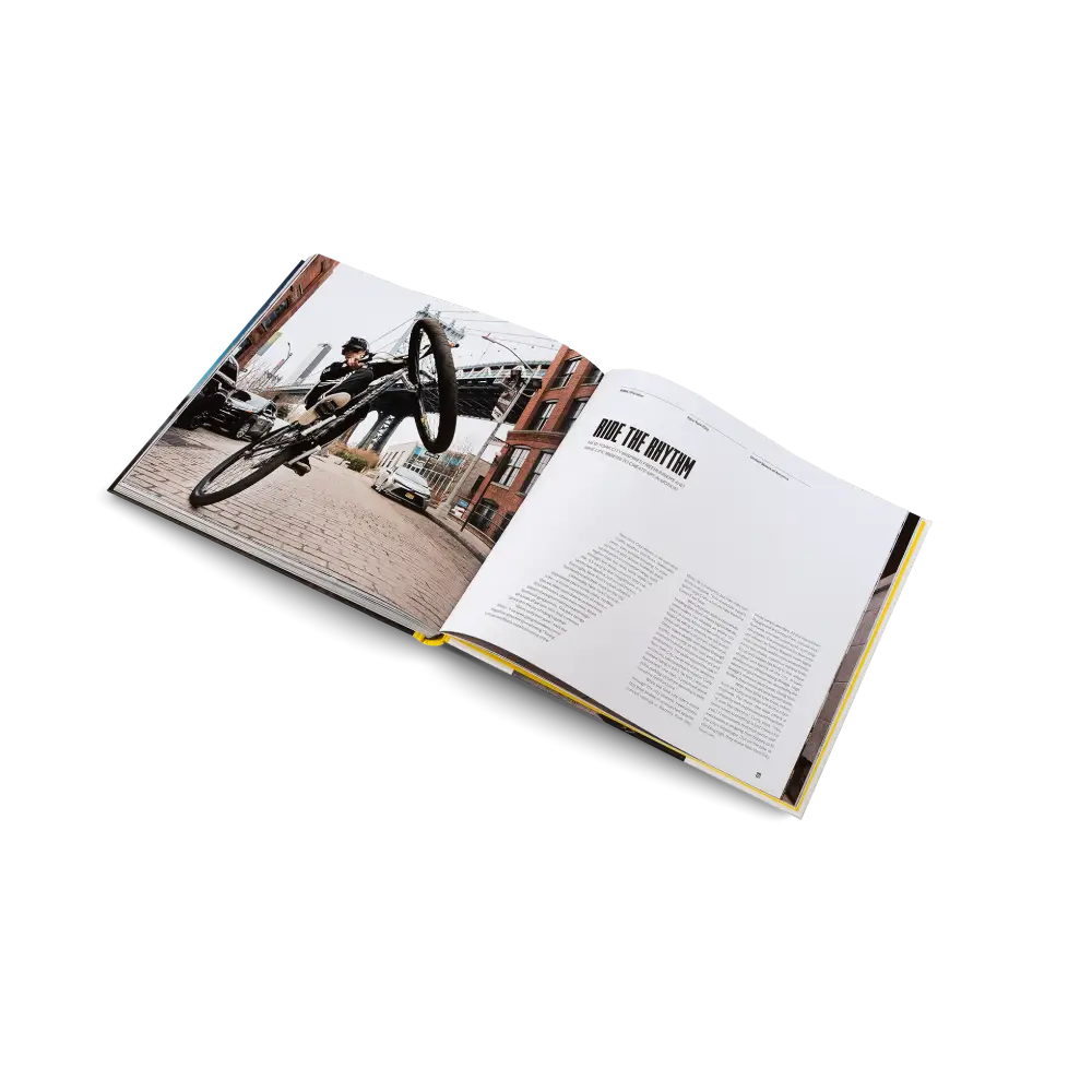 Urban Playgrounds Book