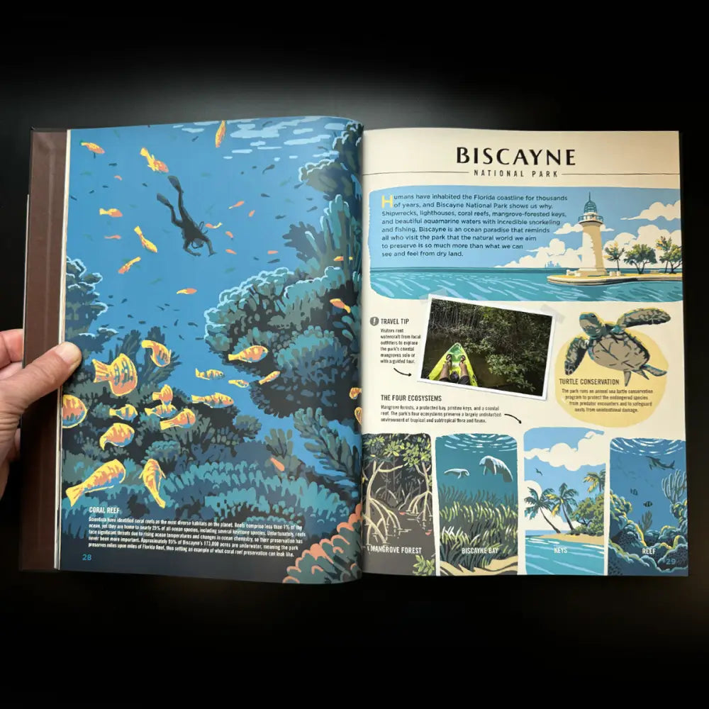 ** Wilderness & Wonder: An Illustrated Guide to the National Parks SOFTCOVER Book Books and Gifts