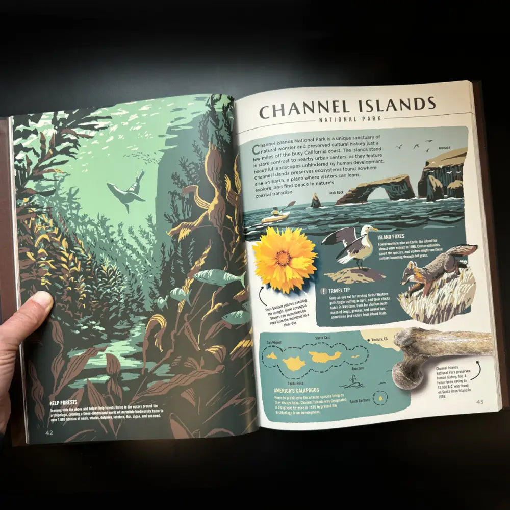 ** Wilderness & Wonder: An Illustrated Guide to the National Parks HARD COVER Book Books and Gifts