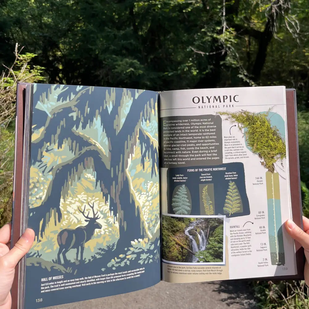 ** Wilderness & Wonder: An Illustrated Guide to the National Parks HARD COVER Book Books and Gifts