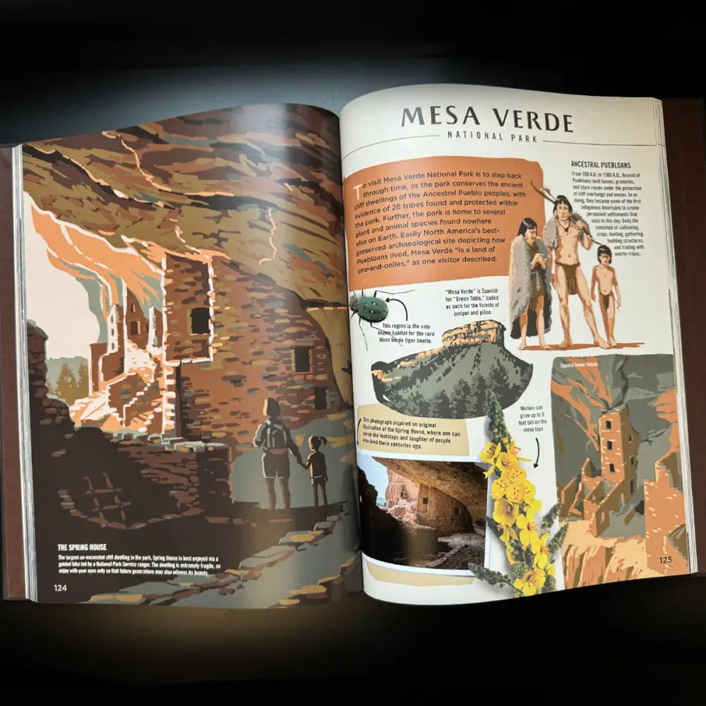 ** Wilderness & Wonder: An Illustrated Guide to the National Parks HARD COVER Book Books and Gifts