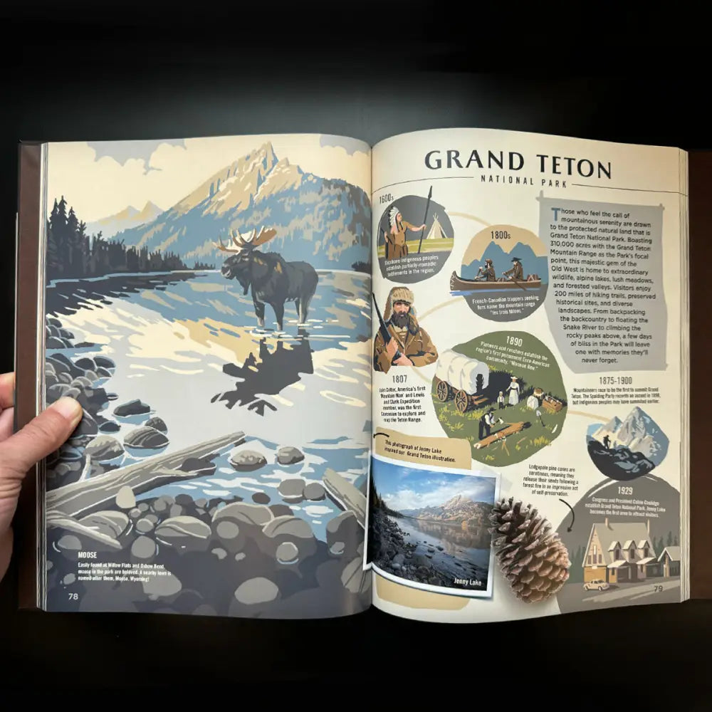 ** Wilderness & Wonder: An Illustrated Guide to the National Parks HARD COVER Book Books and Gifts