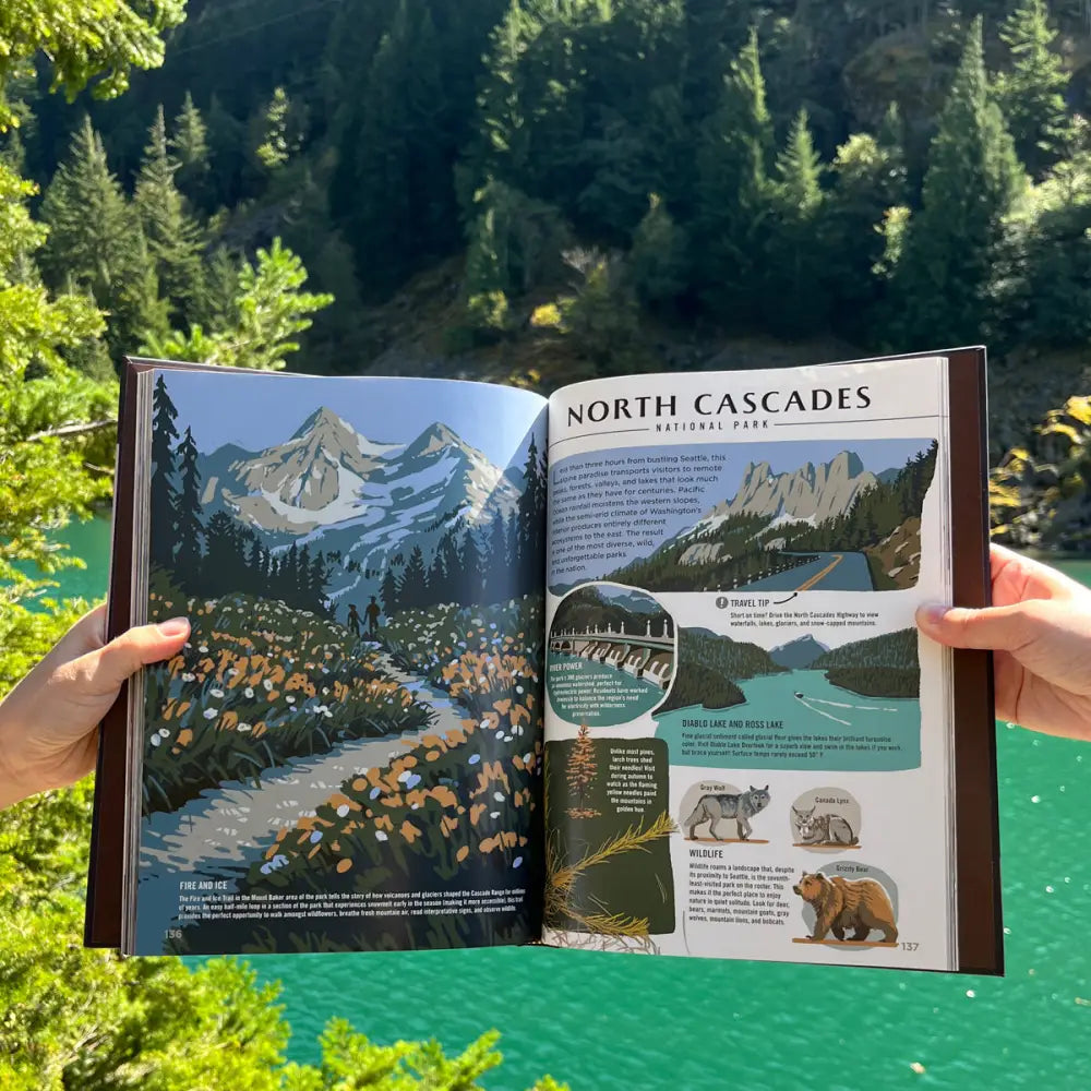 ** Wilderness & Wonder: An Illustrated Guide to the National Parks HARD COVER Book Books and Gifts