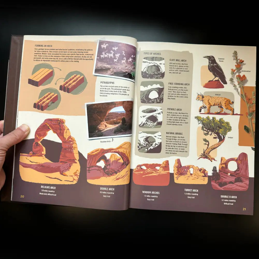 ** Wilderness & Wonder: An Illustrated Guide to the National Parks HARD COVER Book Books and Gifts