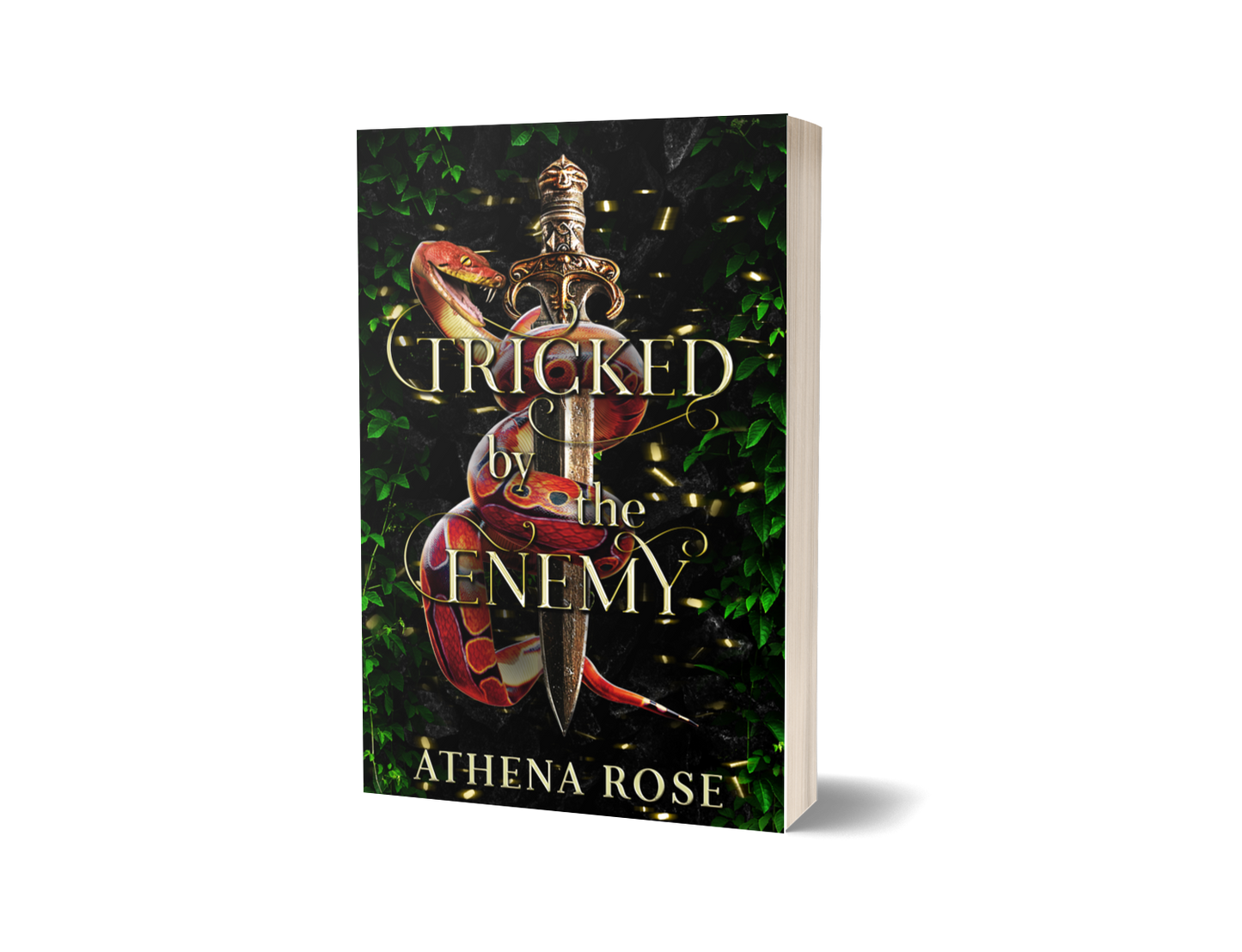 Tricked by the Enemy (Author Signed Paperback)