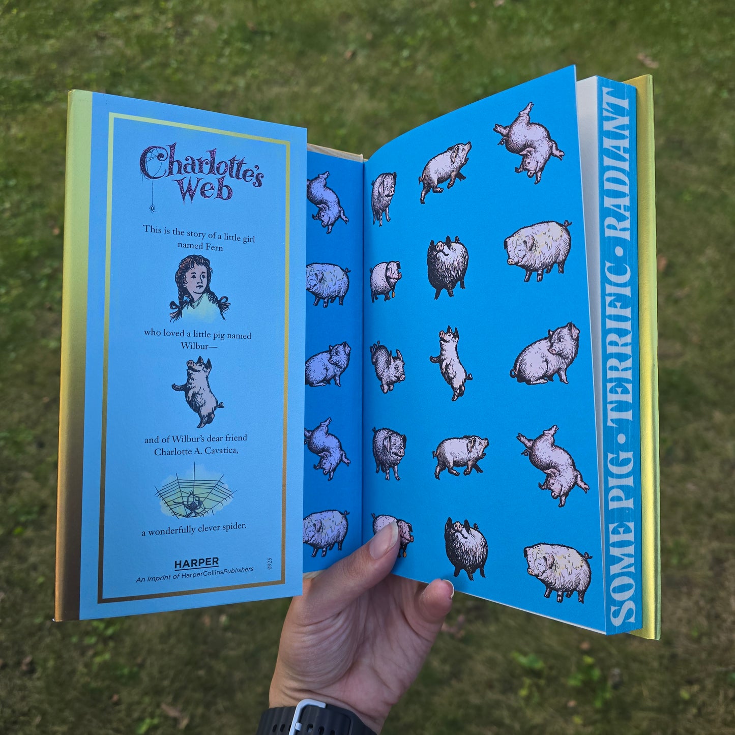 Charlotte's Web Collector’s Deluxe Limited Edition by E. B White, Garth Williams, Rosemary Wells