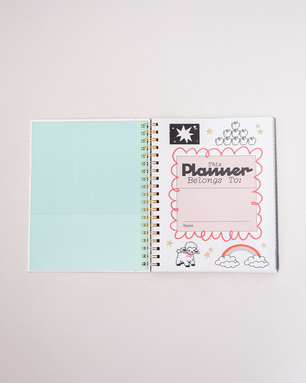 interior teal pocket and 'this planner belongs to:' page
