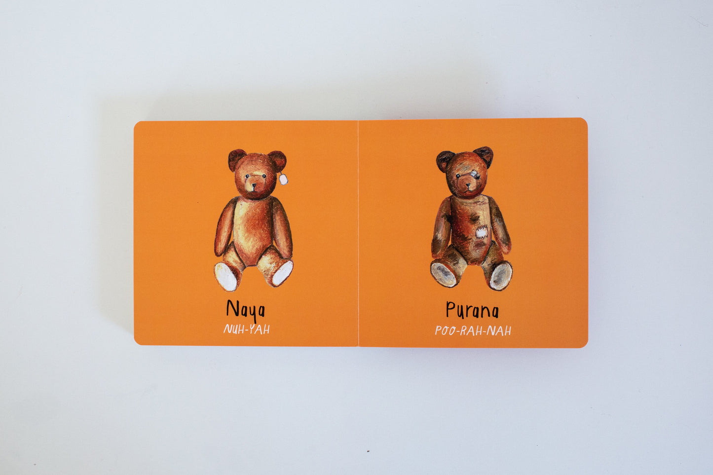 "My First Hindi Words!" Board Book Gift Set