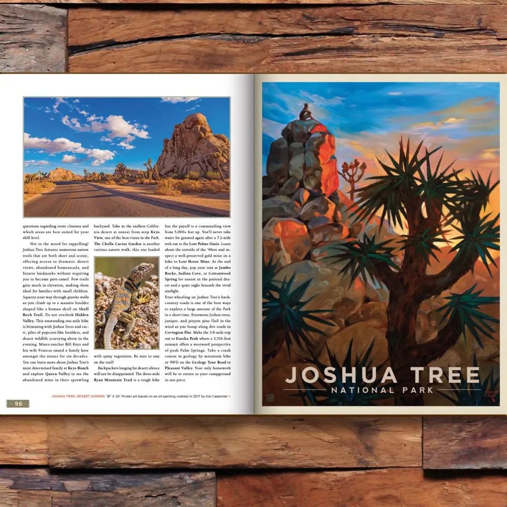 63 National Parks: Updated Edition HARD COVER Coffee Table Book (Best Seller!) Hard Cover Book Books and Gifts