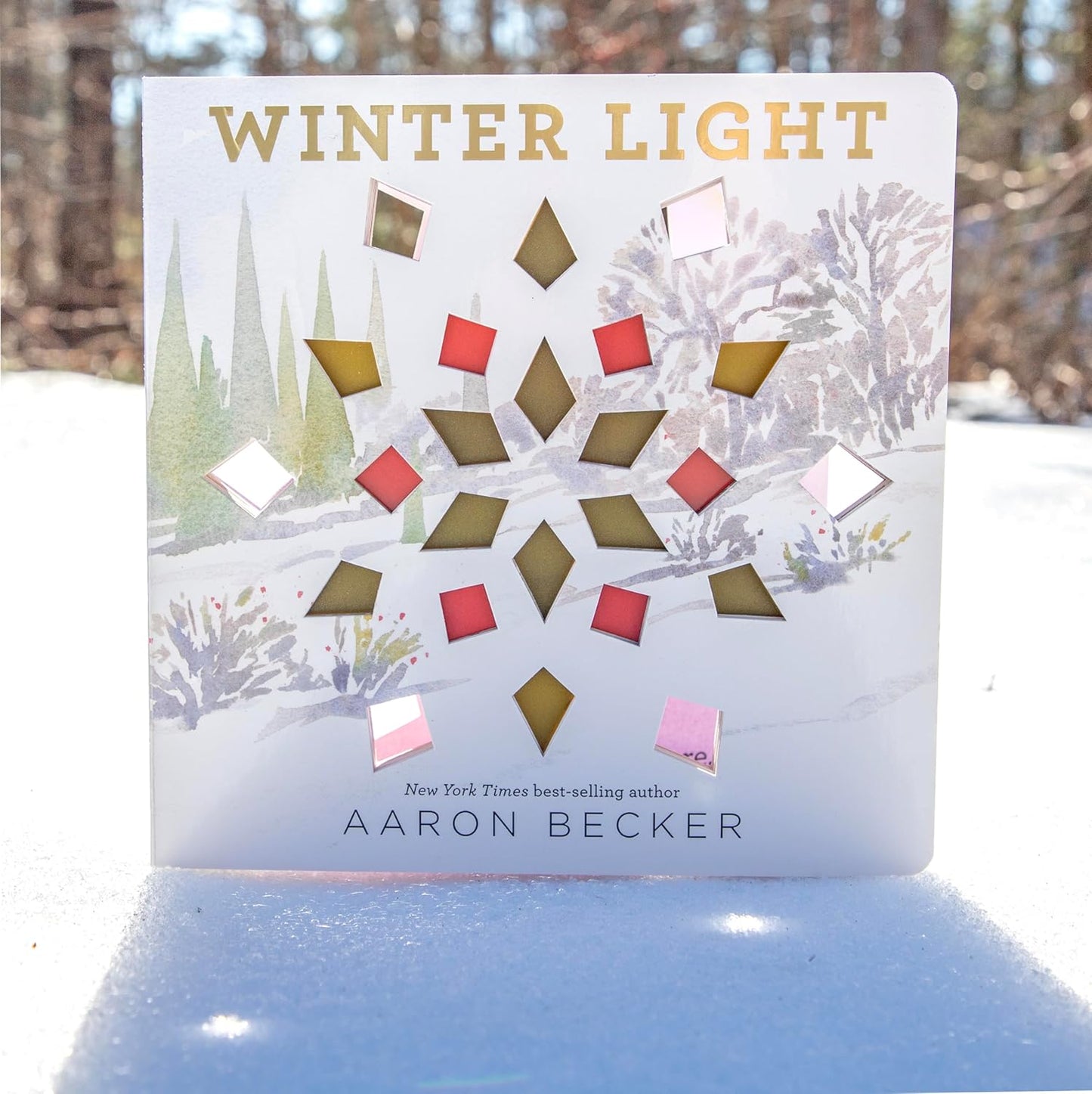 Winter Light by Aaron Becker