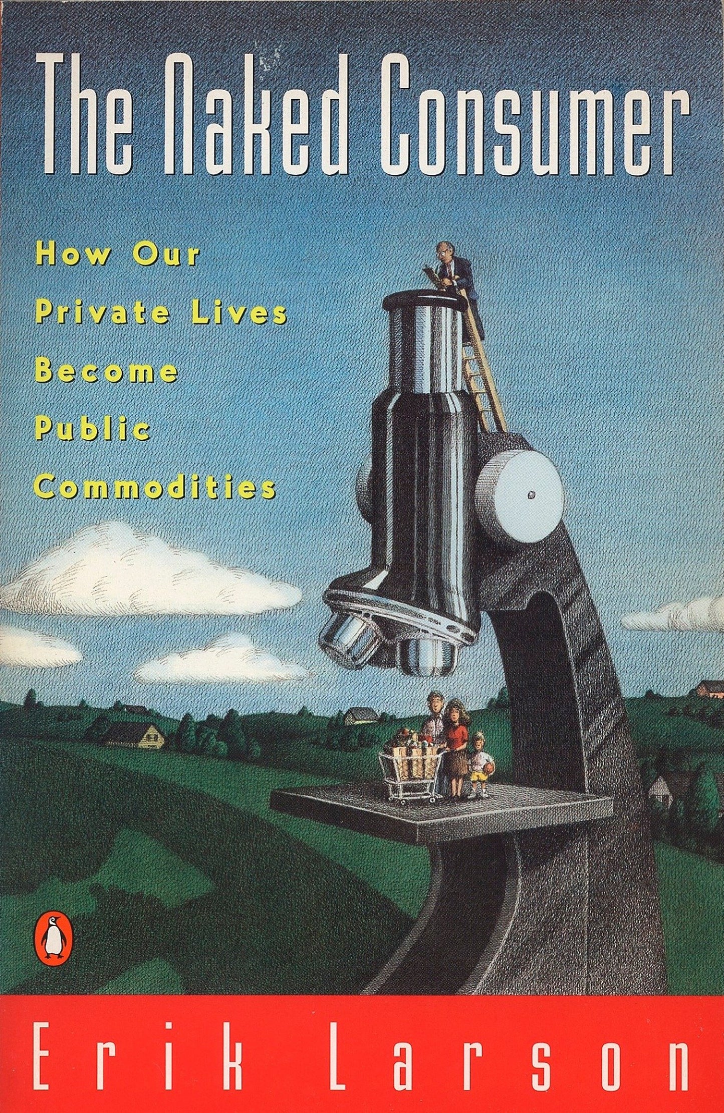 Naked Consumer - How Our Private Lives Become Public Commodities