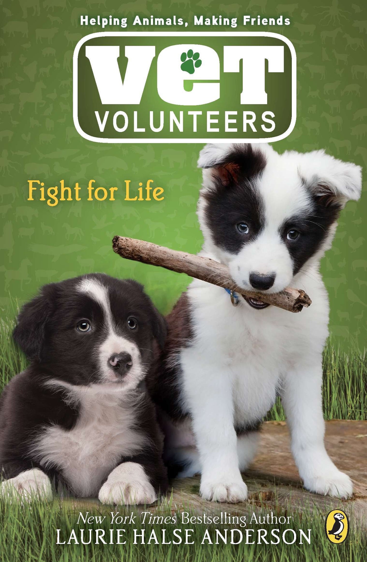 Fight for Life (Vet Volunteers) (Book:1)