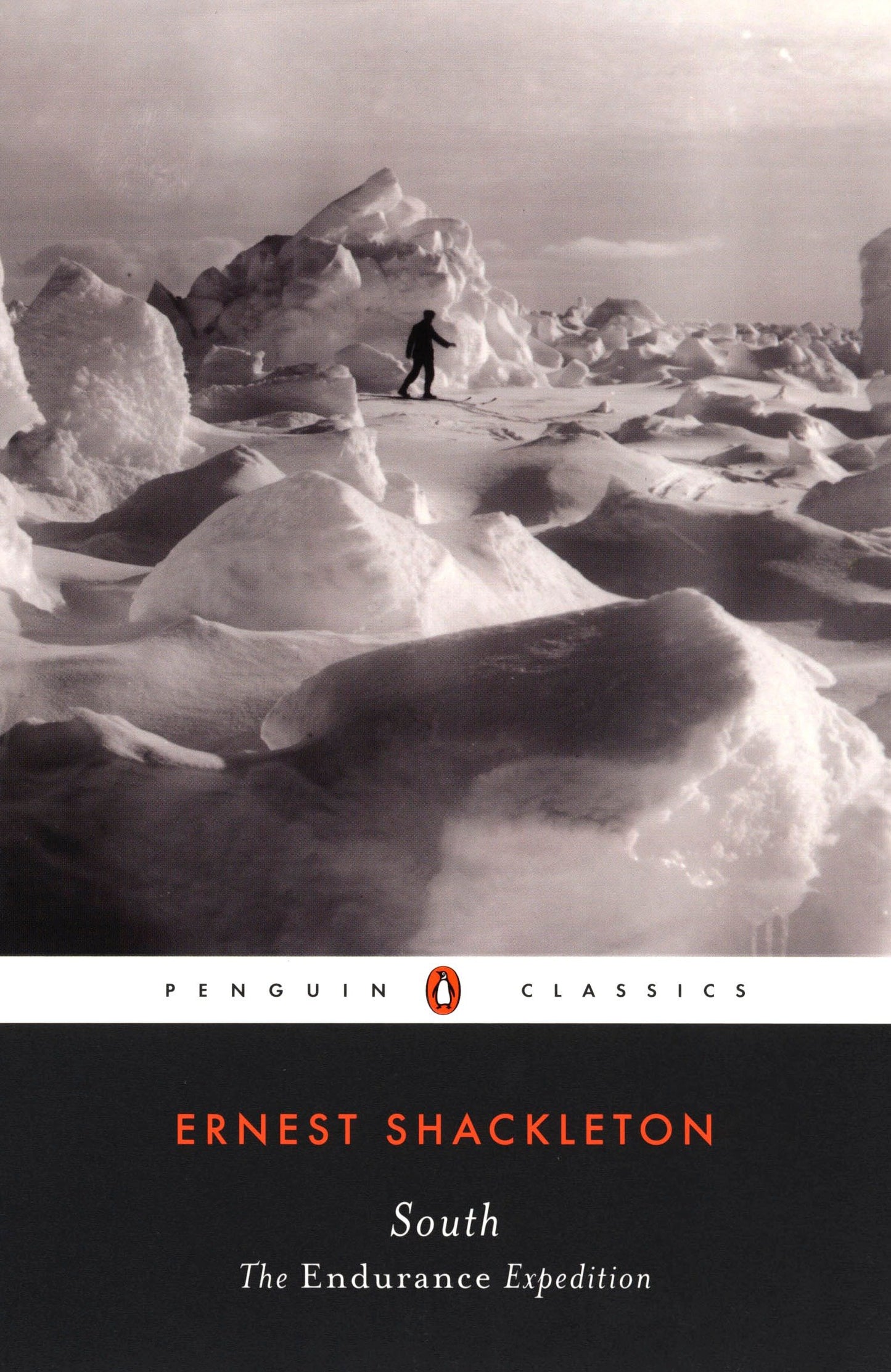 South - The Endurance Expedition
