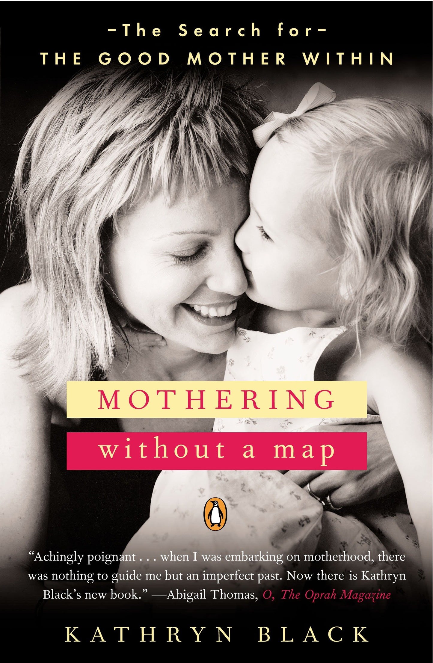 Mothering Without a Map - The Search for the Good Mother Within