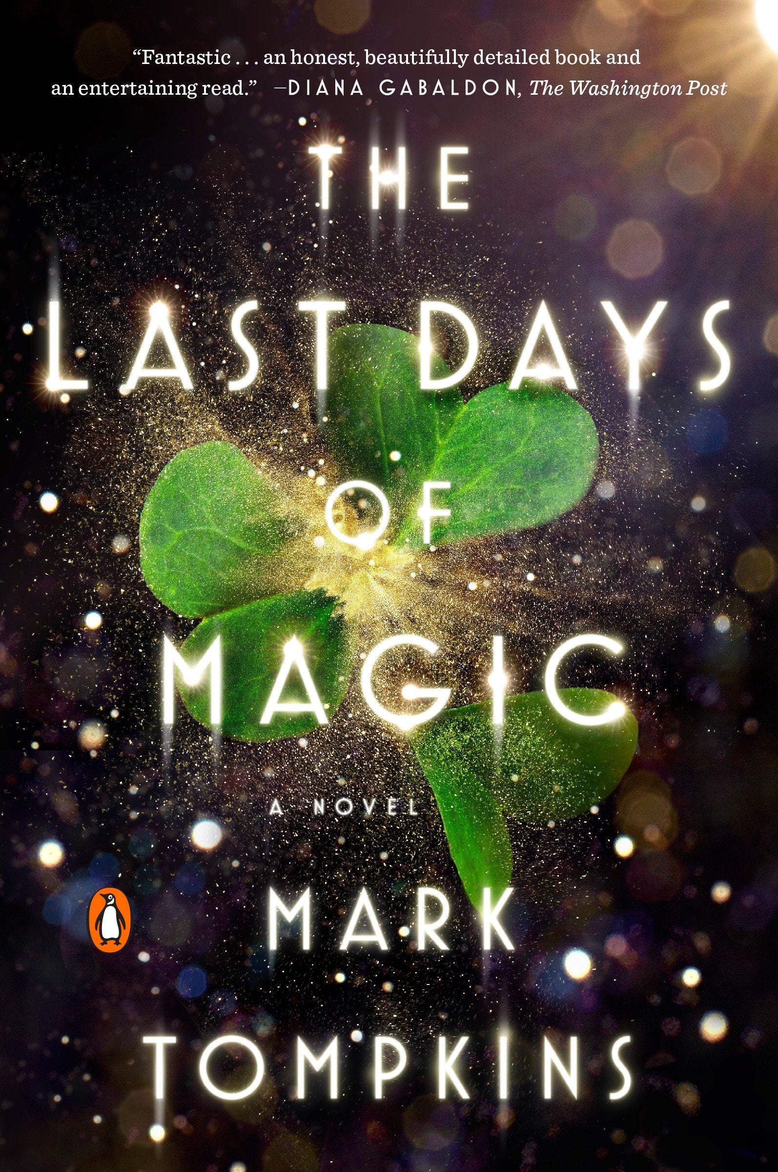 The Last Days of Magic - A Novel