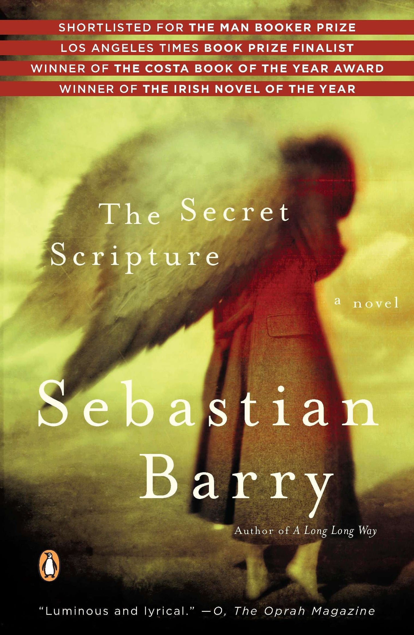 The Secret Scripture - A Novel
