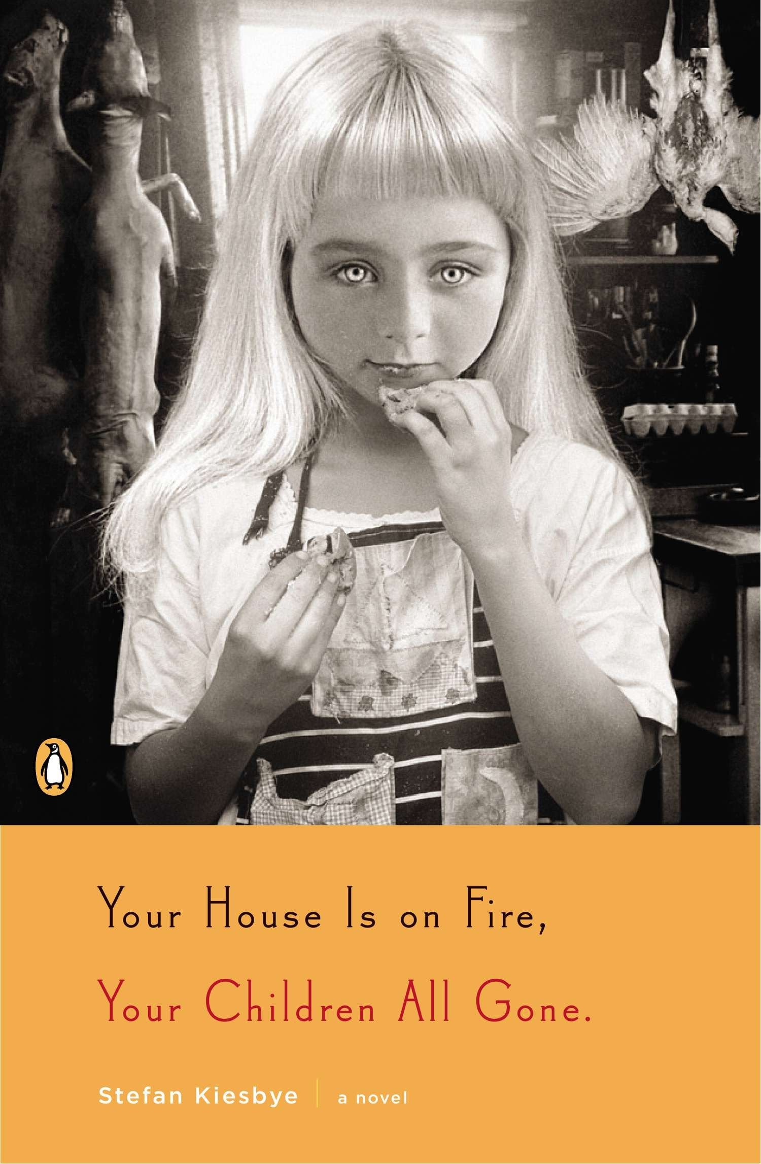Your House Is on Fire, Your Children All Gone - A Novel