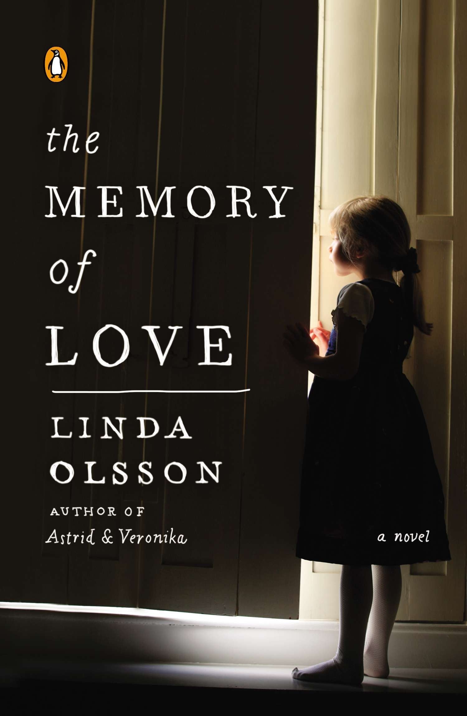 The Memory of Love - A Novel