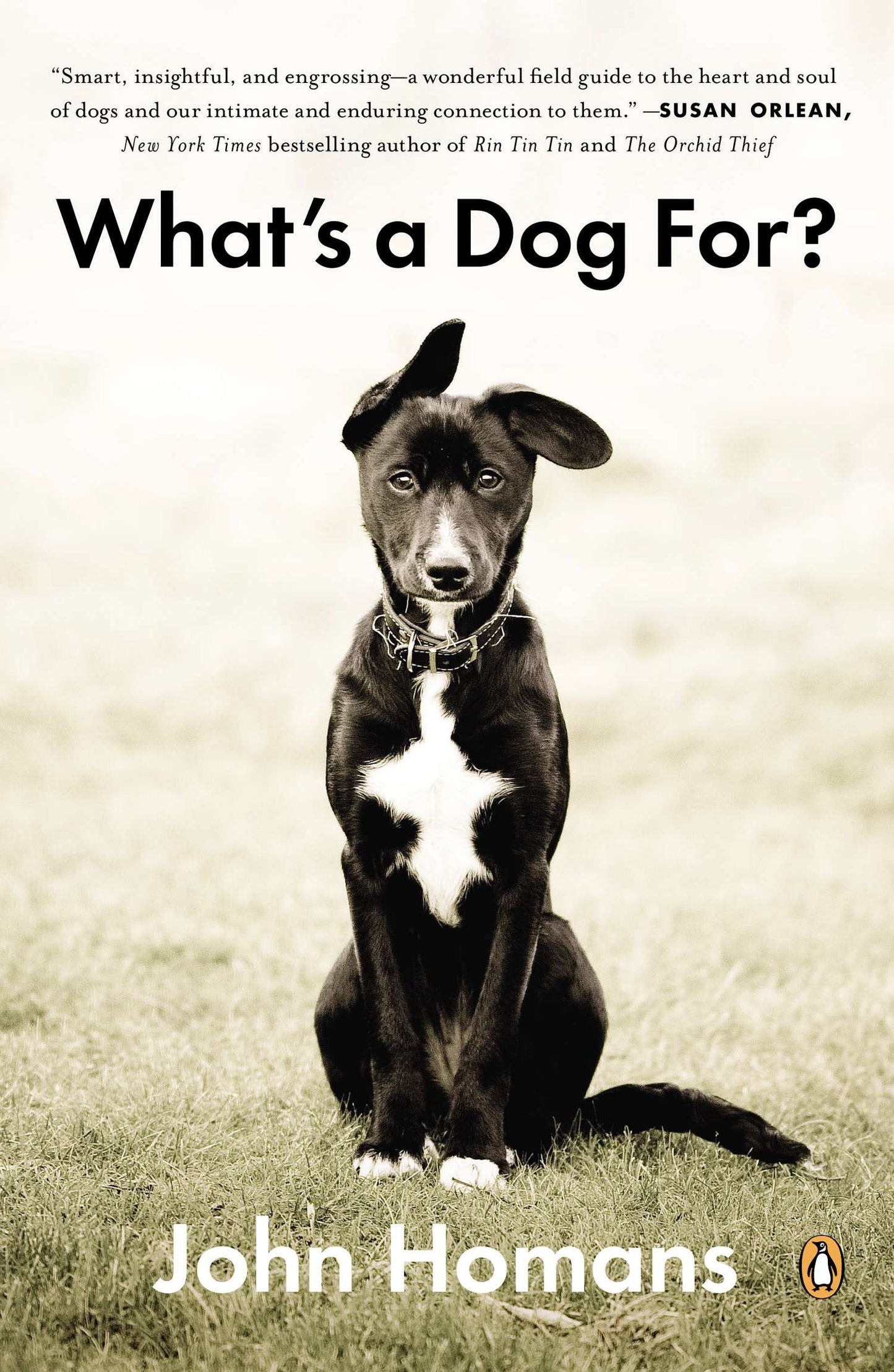 What's a Dog For? - The Surprising History, Science, Philosophy, and Politics of Man�s Best Friend