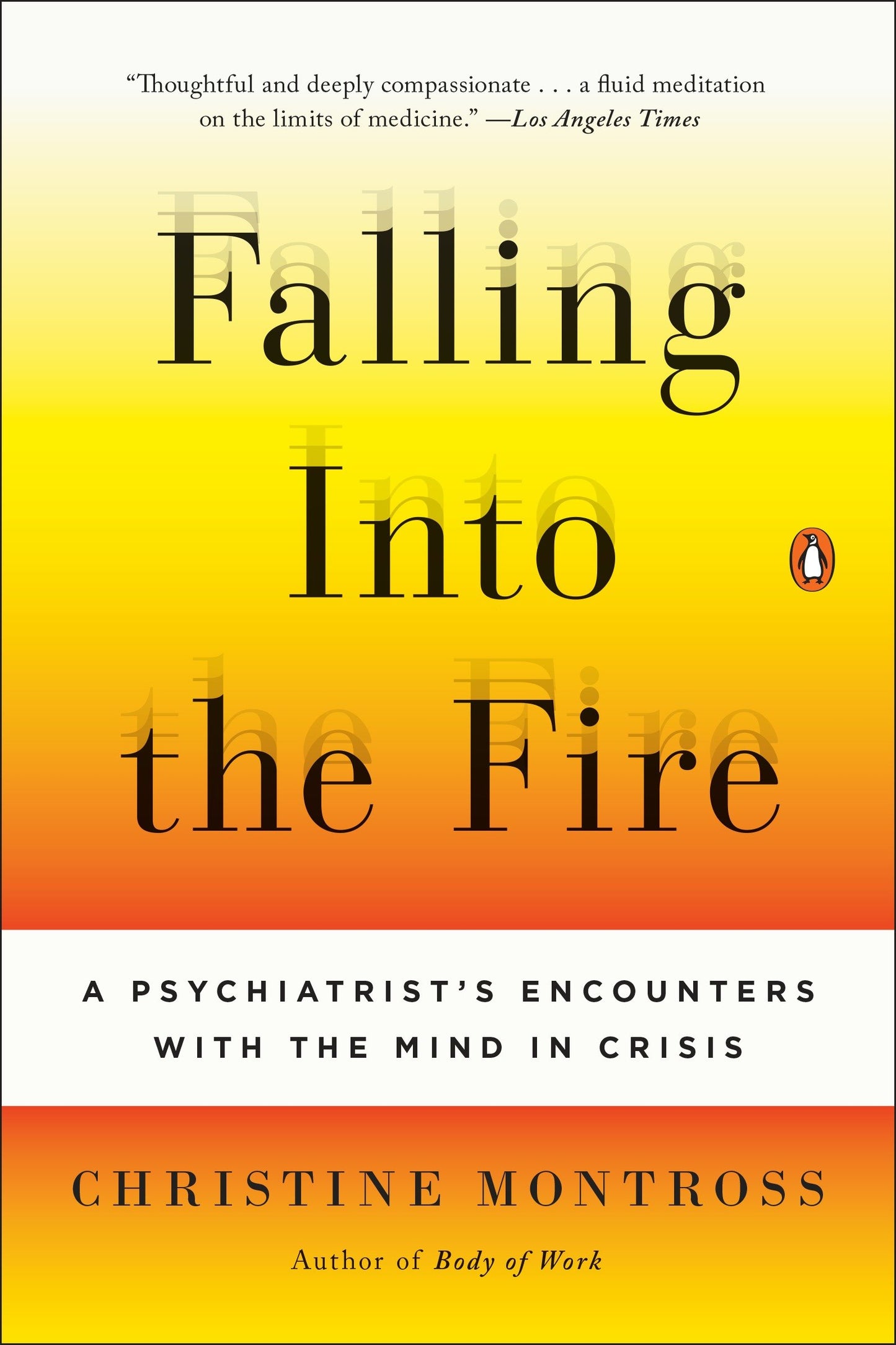 Falling Into the Fire - A Psychiatrist's Encounters with the Mind in Crisis