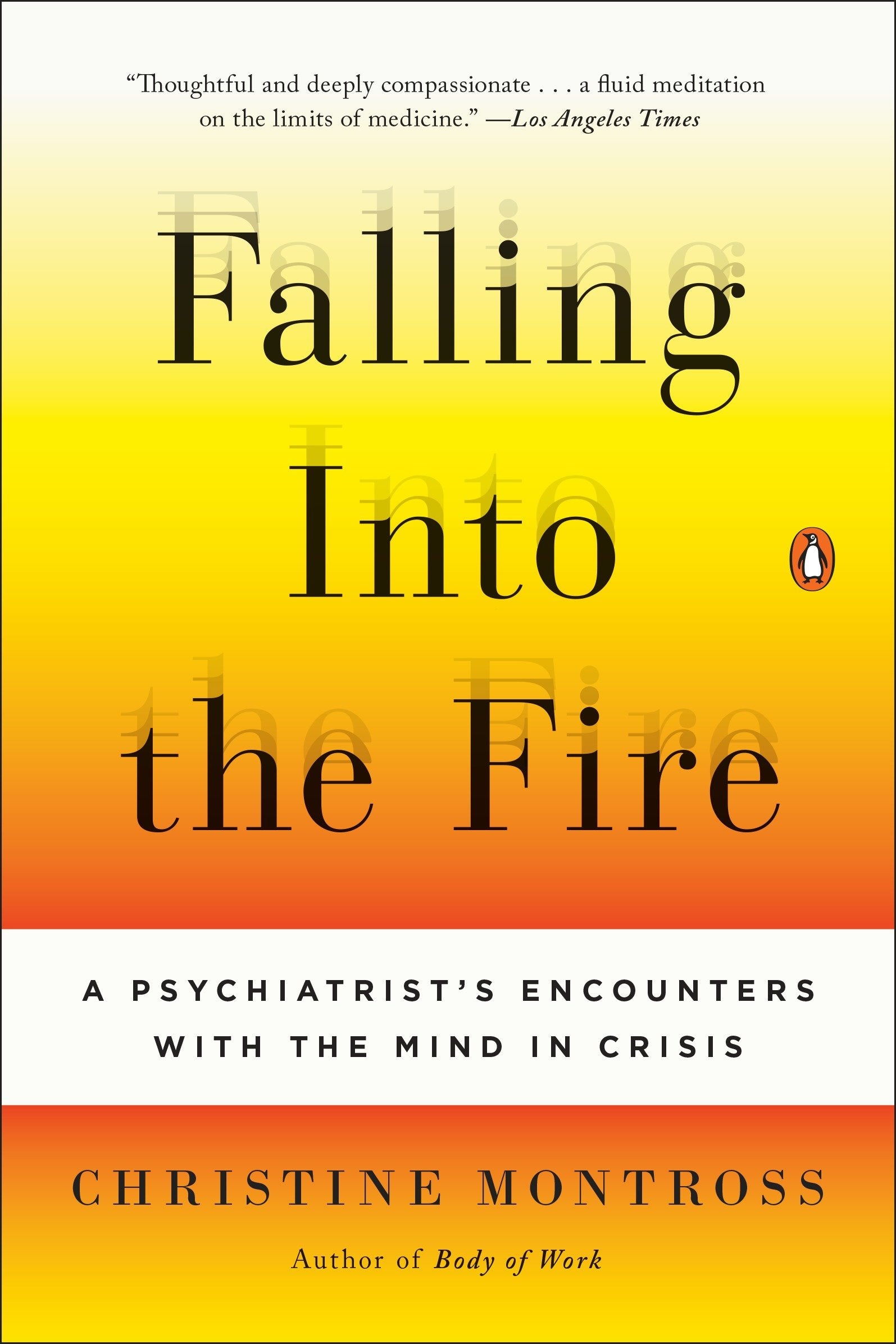 Falling Into the Fire - A Psychiatrist's Encounters with the Mind in Crisis