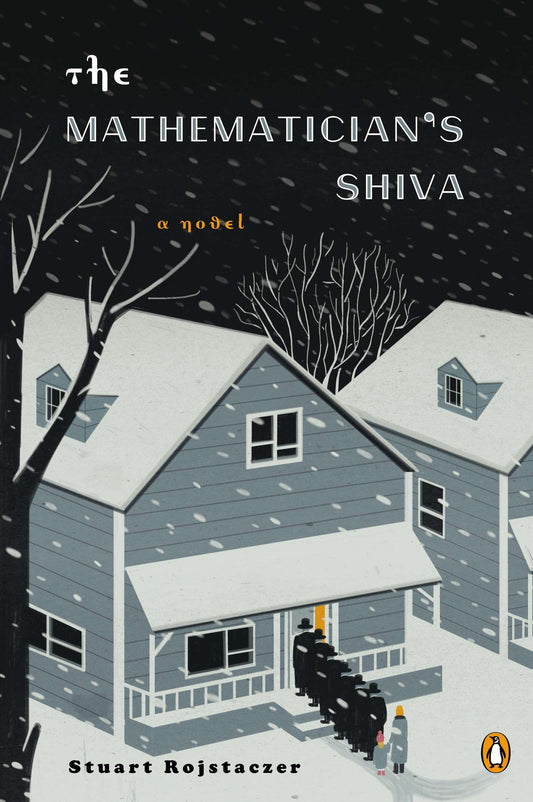 The Mathematician's Shiva - A Novel