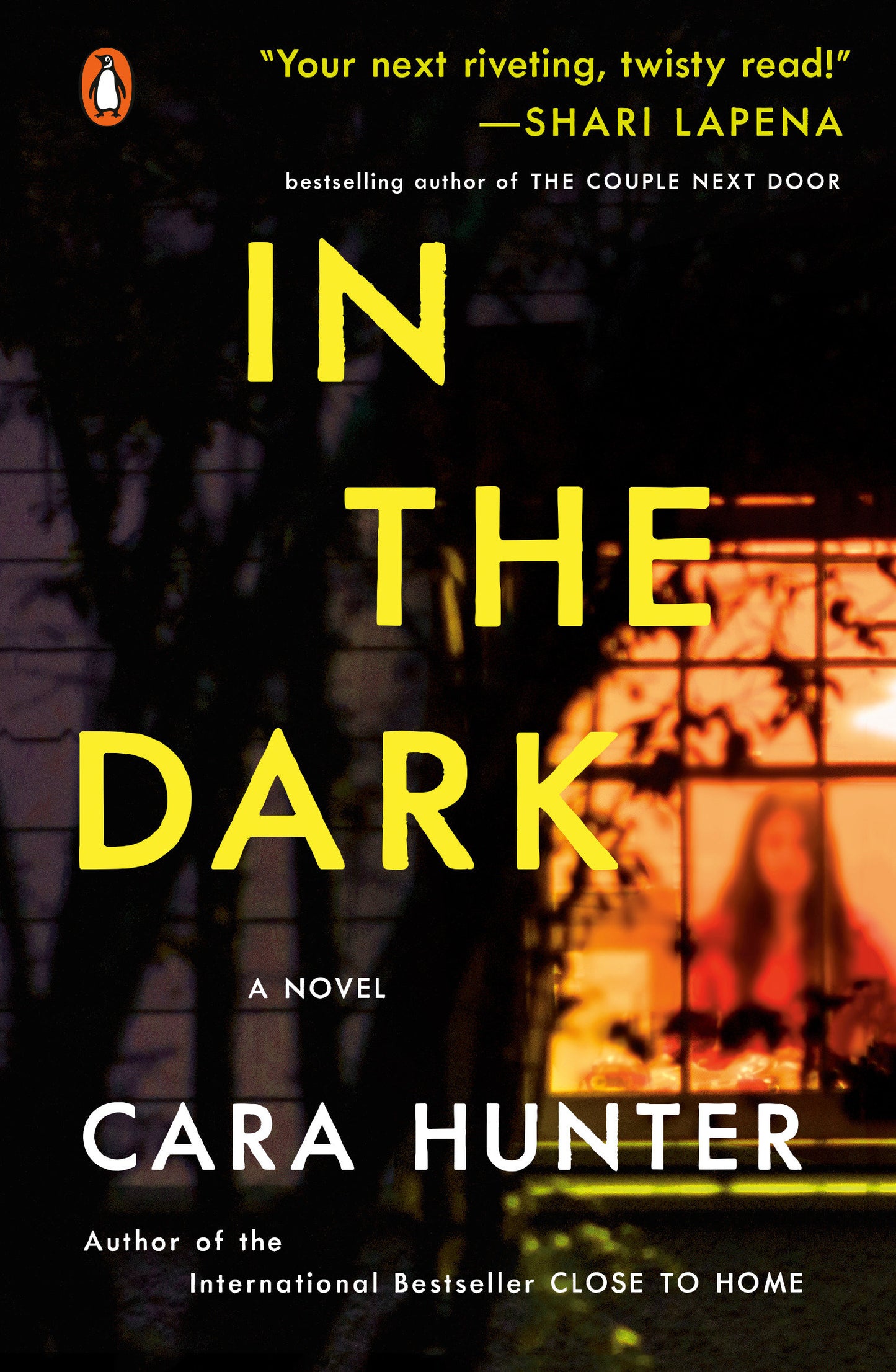 In the Dark - A Novel (A DI Adam Fawley Novel) (Book:2)