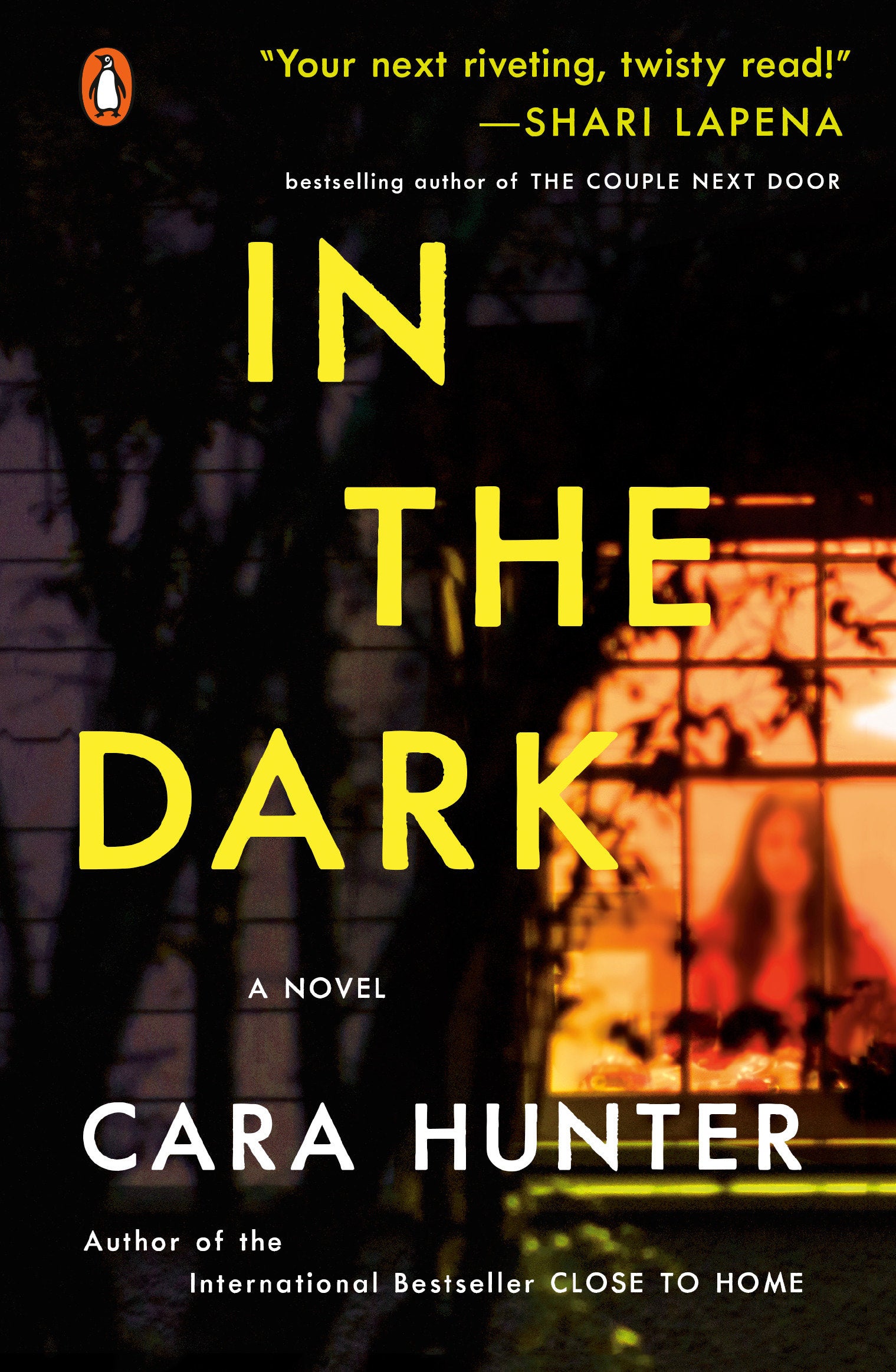 In the Dark - A Novel (A DI Adam Fawley Novel) (Book:2)