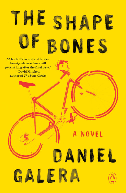 The Shape of Bones - A Novel