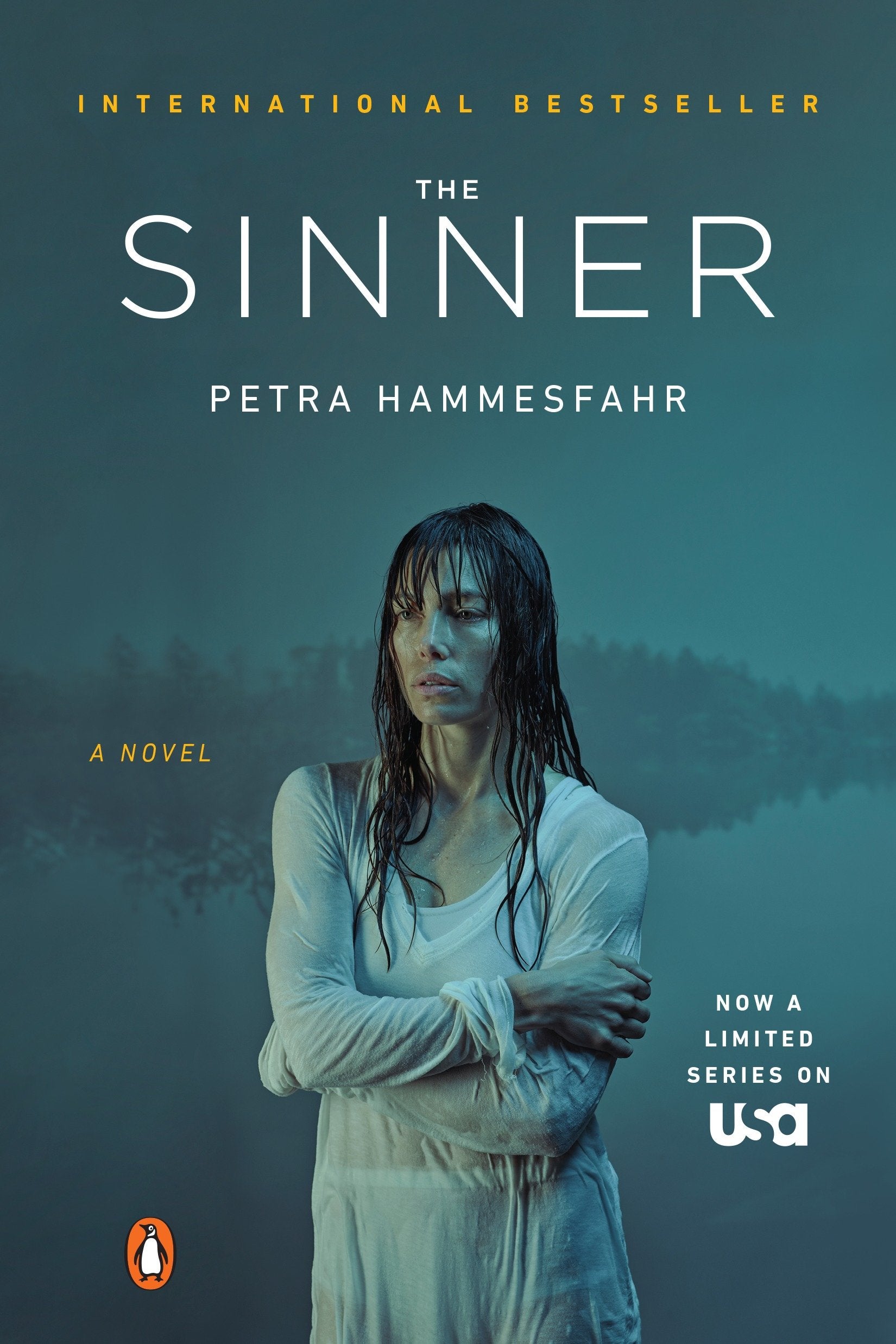 The Sinner (TV Tie-In) - A Novel