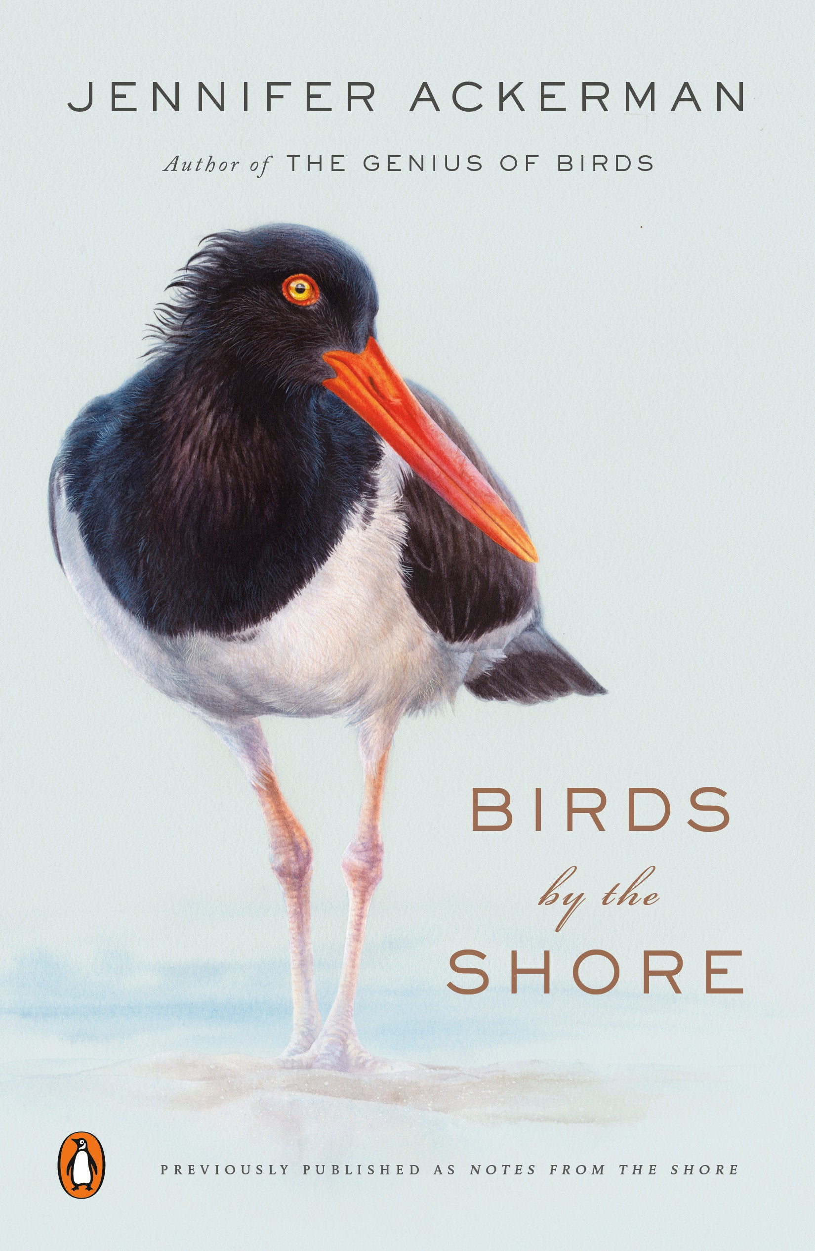 Birds by the Shore - Observing the Natural Life of the Atlantic Coast