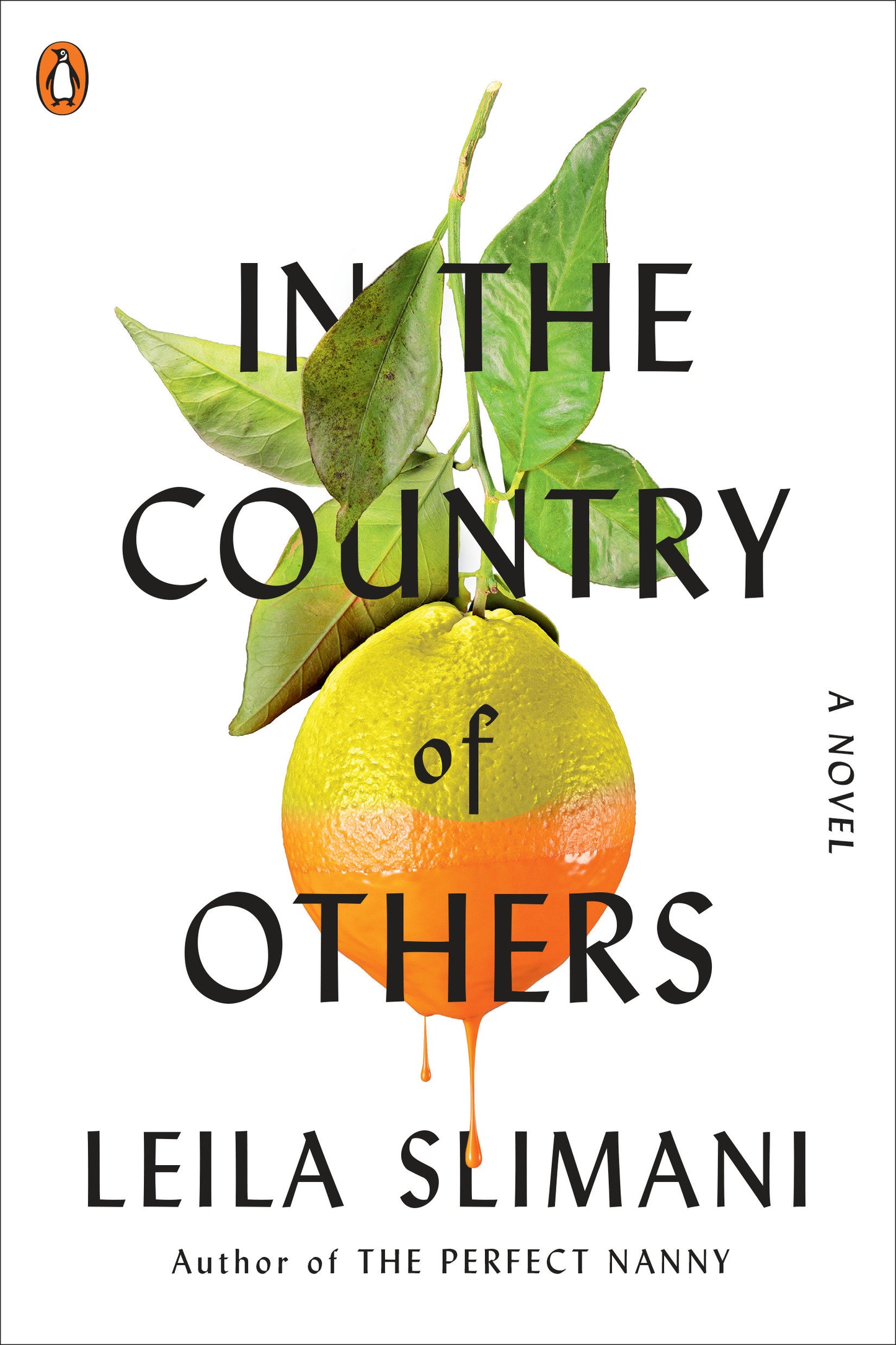 In the Country of Others - A Novel