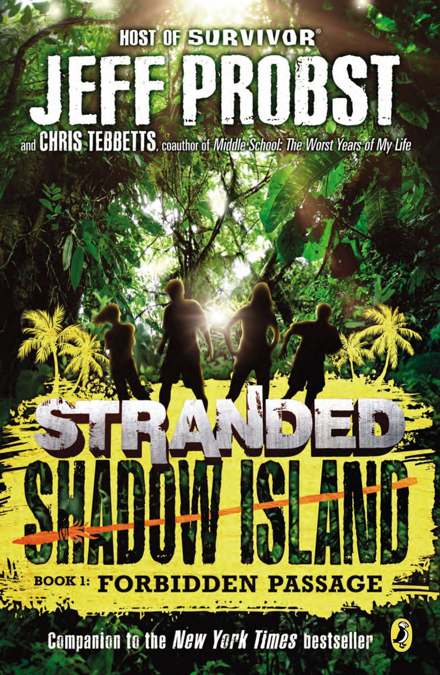 Shadow Island: Forbidden Passage (Stranded) (Book:4)