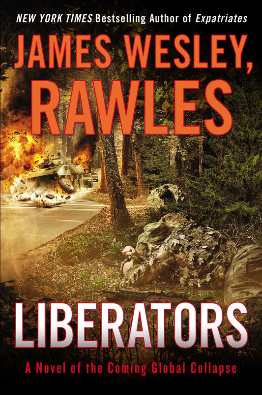Liberators - A Novel of the Coming Global Collapse (Coming Collapse Series)