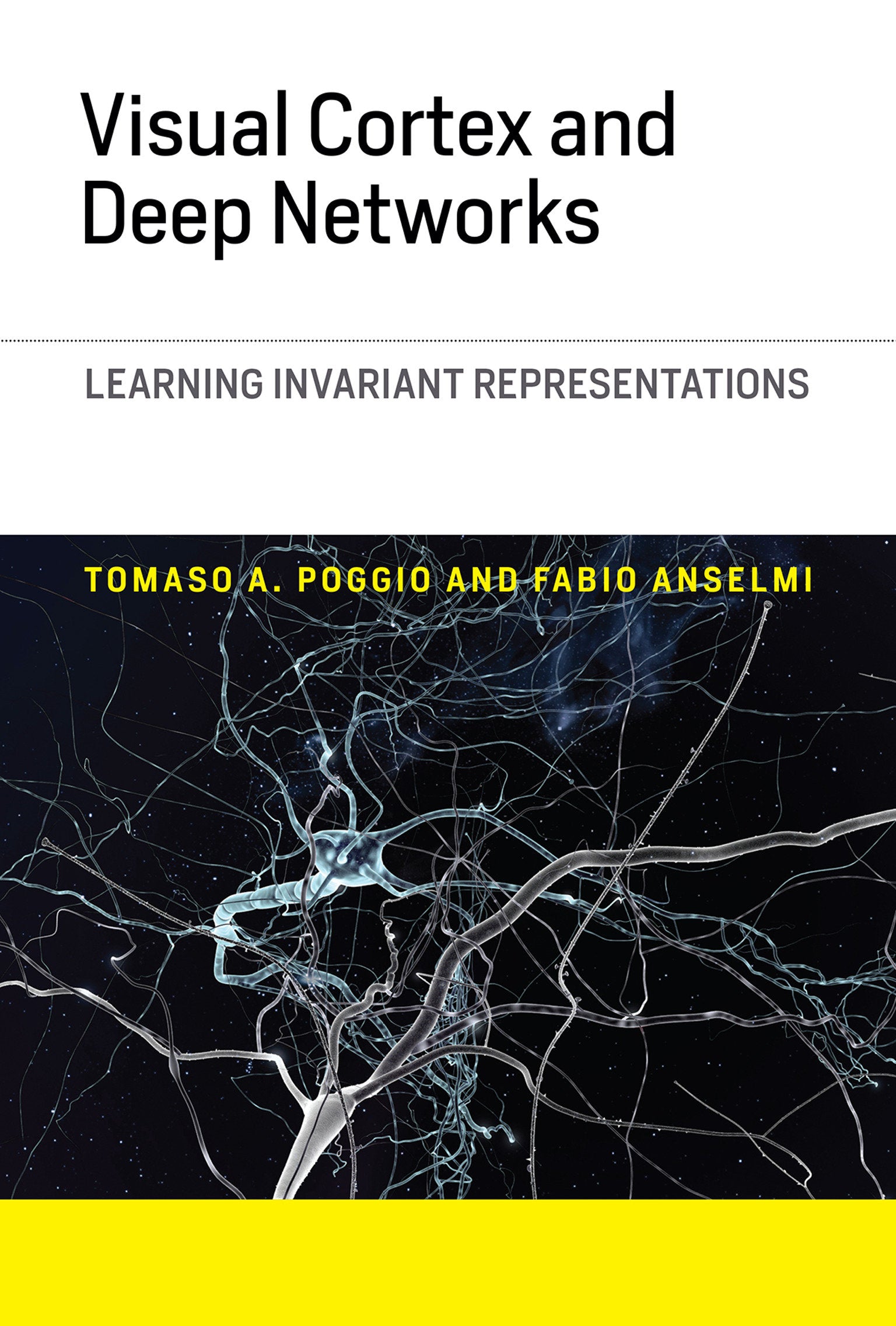 Visual Cortex and Deep Networks - Learning Invariant Representations (Computational Neuroscience Series)