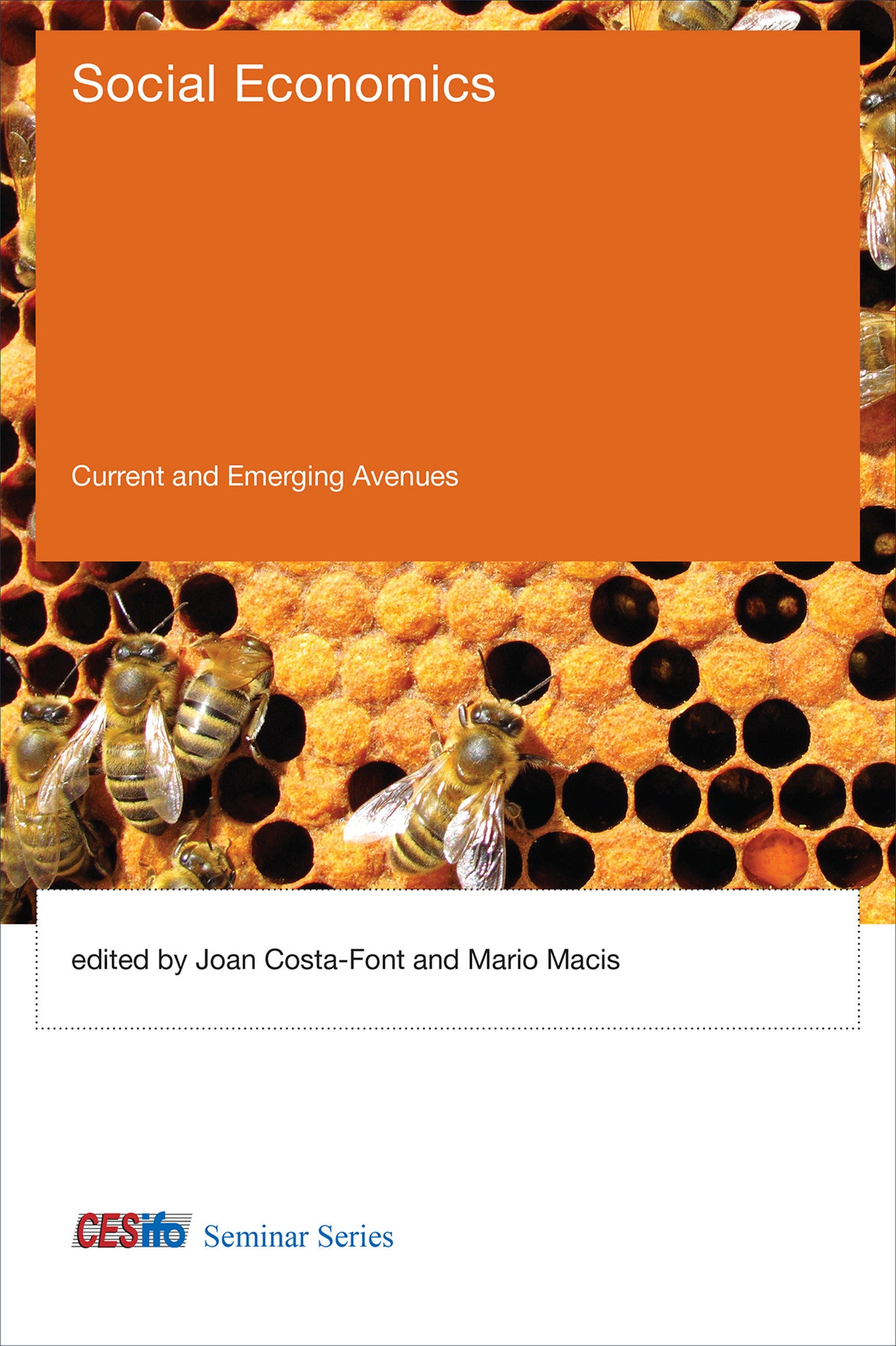 Social Economics - Current and Emerging Avenues (CESifo Seminar Series)