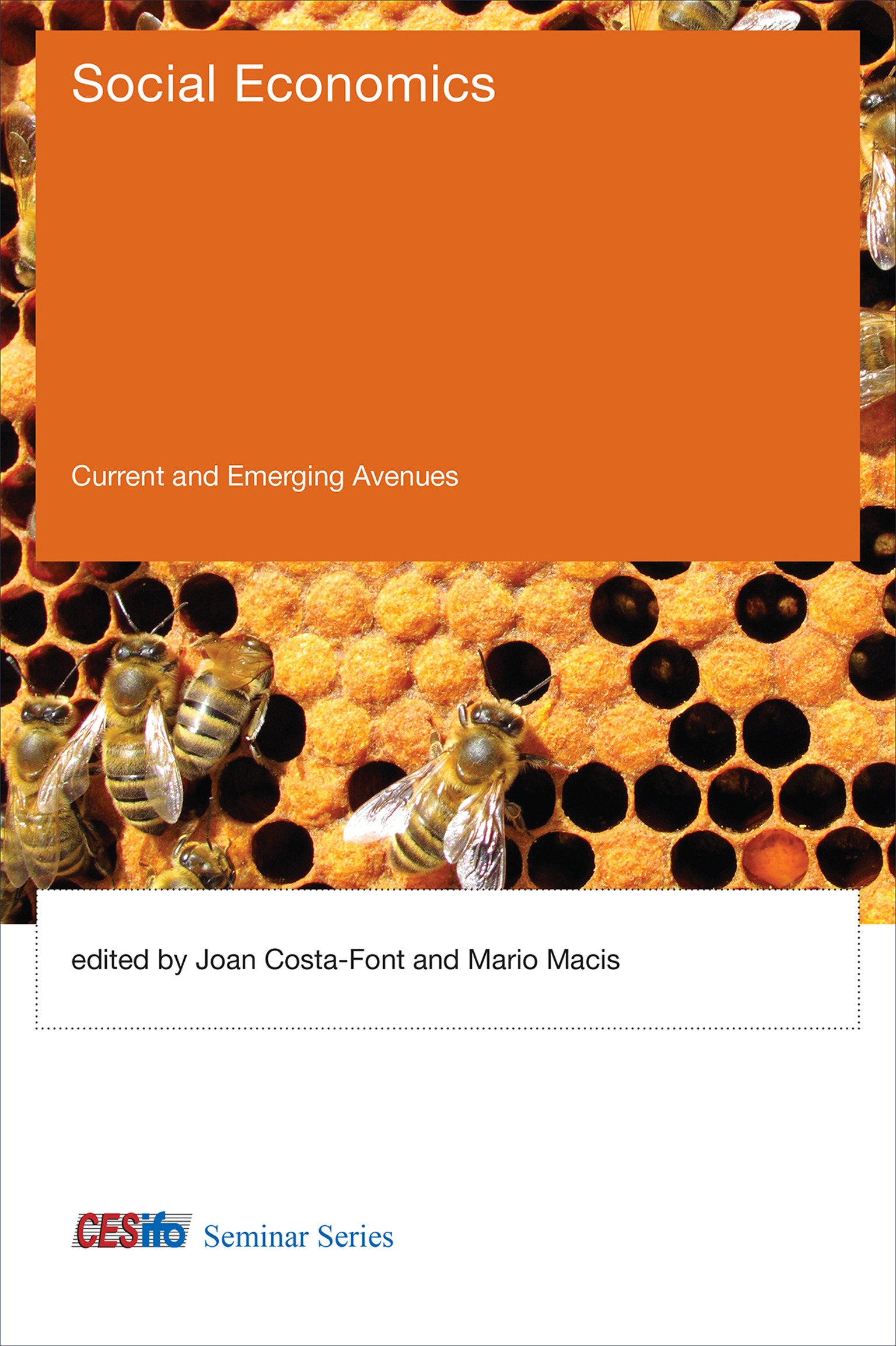 Social Economics - Current and Emerging Avenues (CESifo Seminar Series)