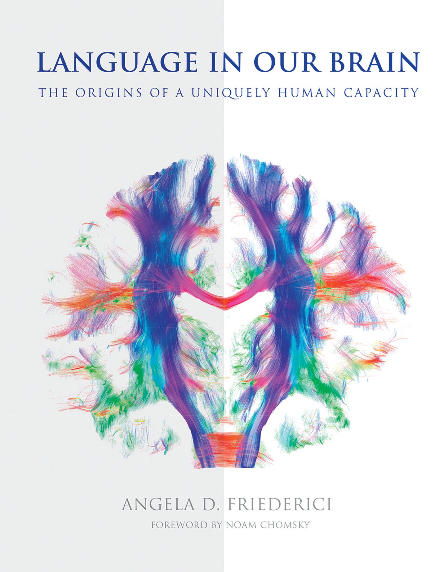 Language in Our Brain - The Origins of a Uniquely Human Capacity