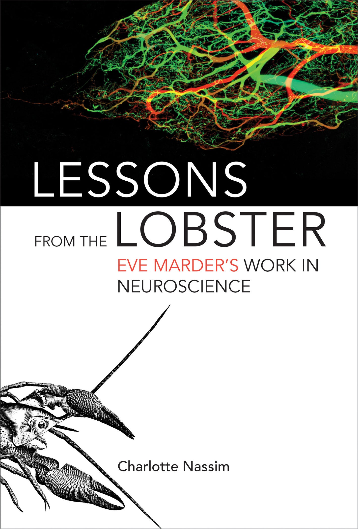 Lessons from the Lobster - Eve Marder's Work in Neuroscience