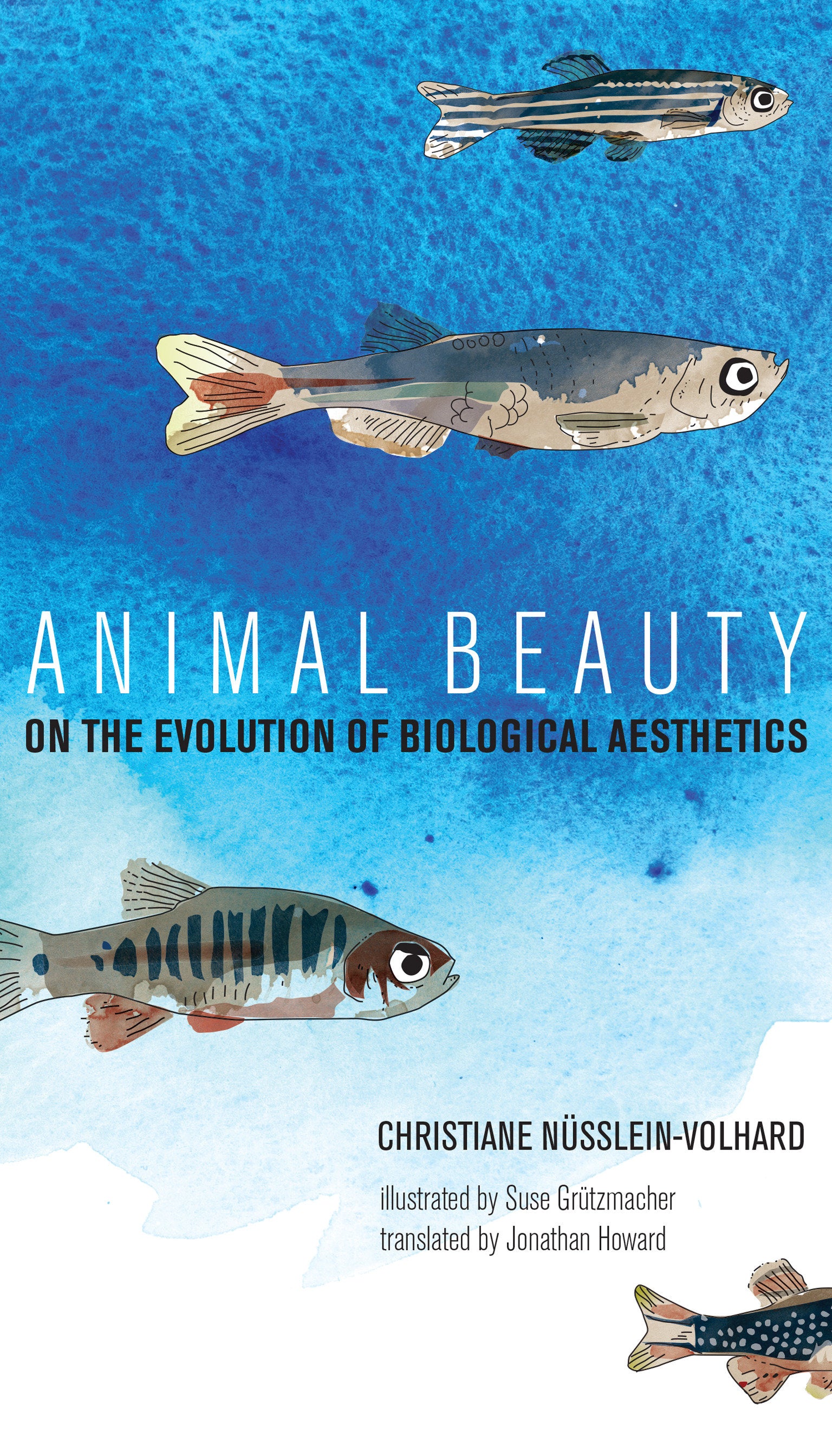 Animal Beauty - On the Evolution of Biological Aesthetics