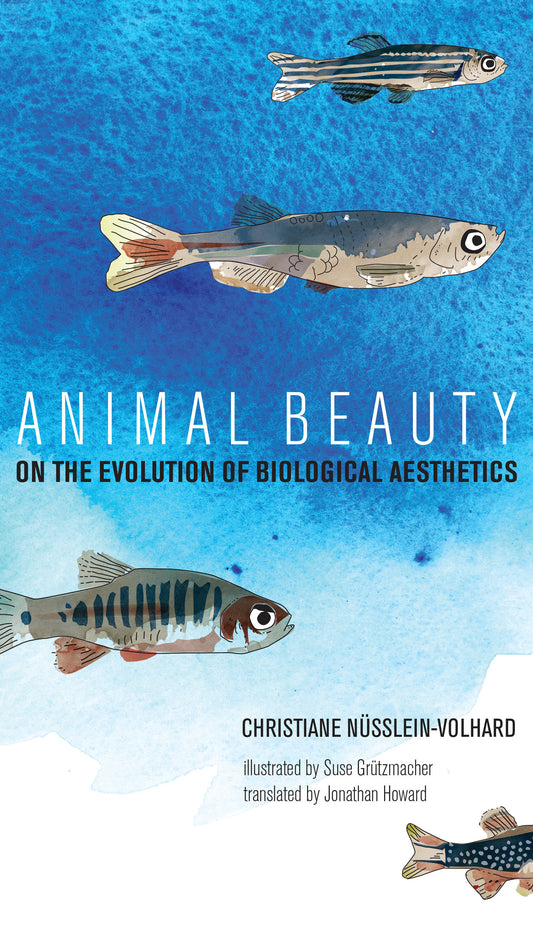 Animal Beauty - On the Evolution of Biological Aesthetics
