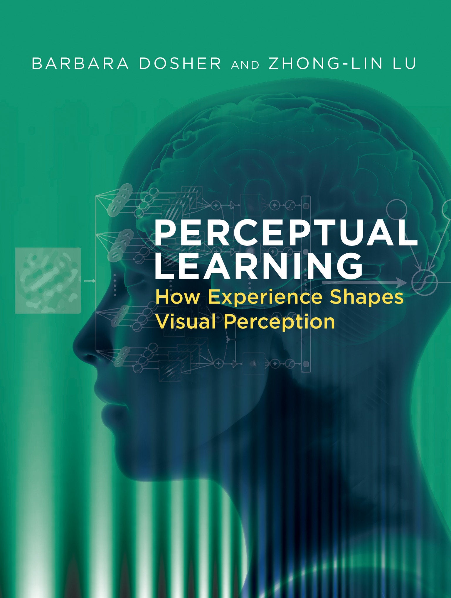 Perceptual Learning - How Experience Shapes Visual Perception