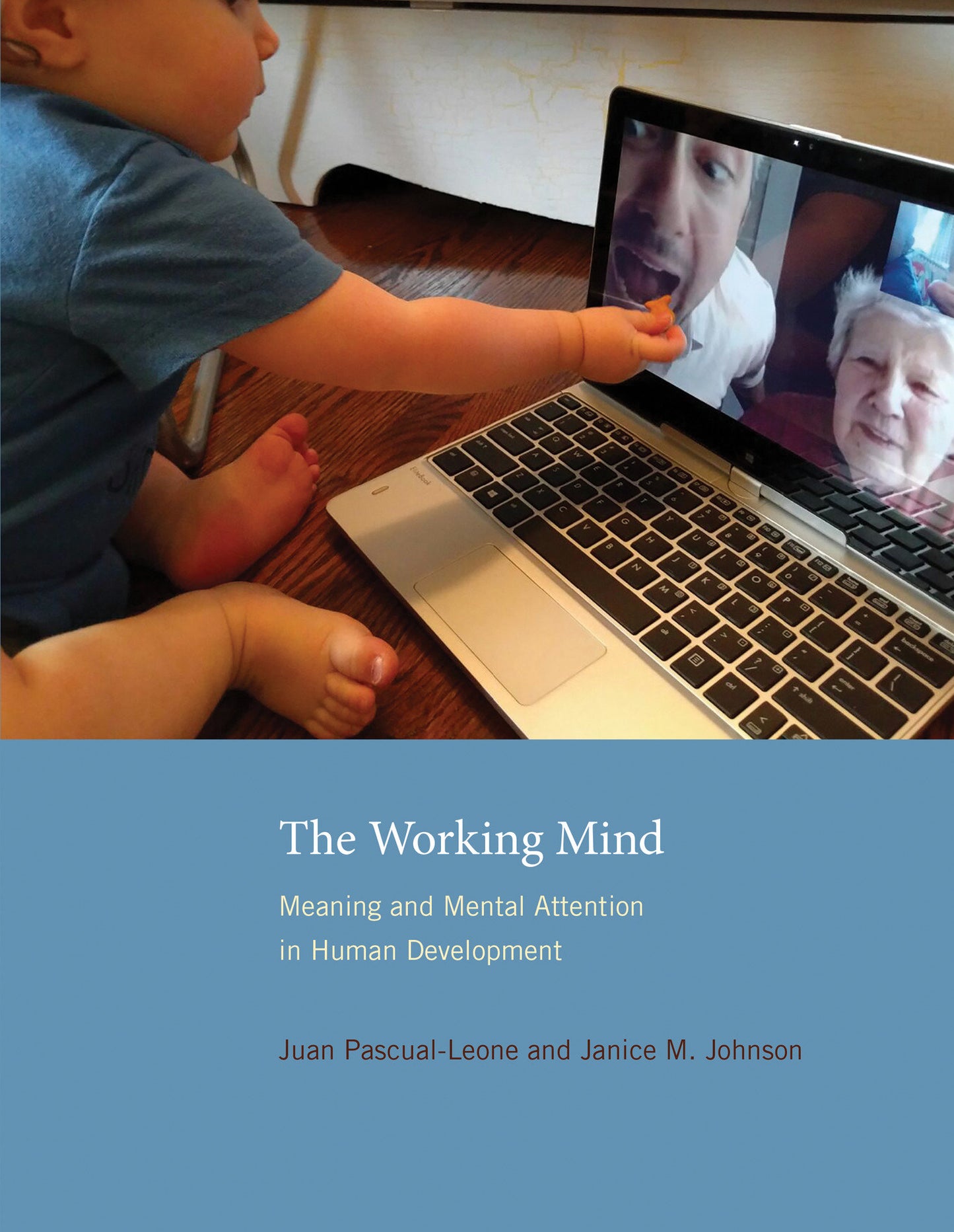 The Working Mind - Meaning and Mental Attention in Human Development