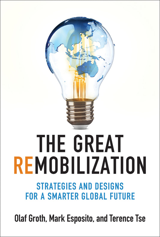 The Great Remobilization - Strategies and Designs for a Smarter Global Future