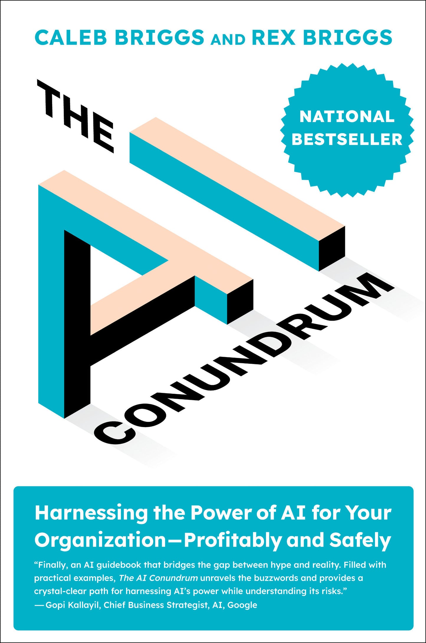 The AI Conundrum - Harnessing the Power of AI for Your Organization--Profitably and Safely