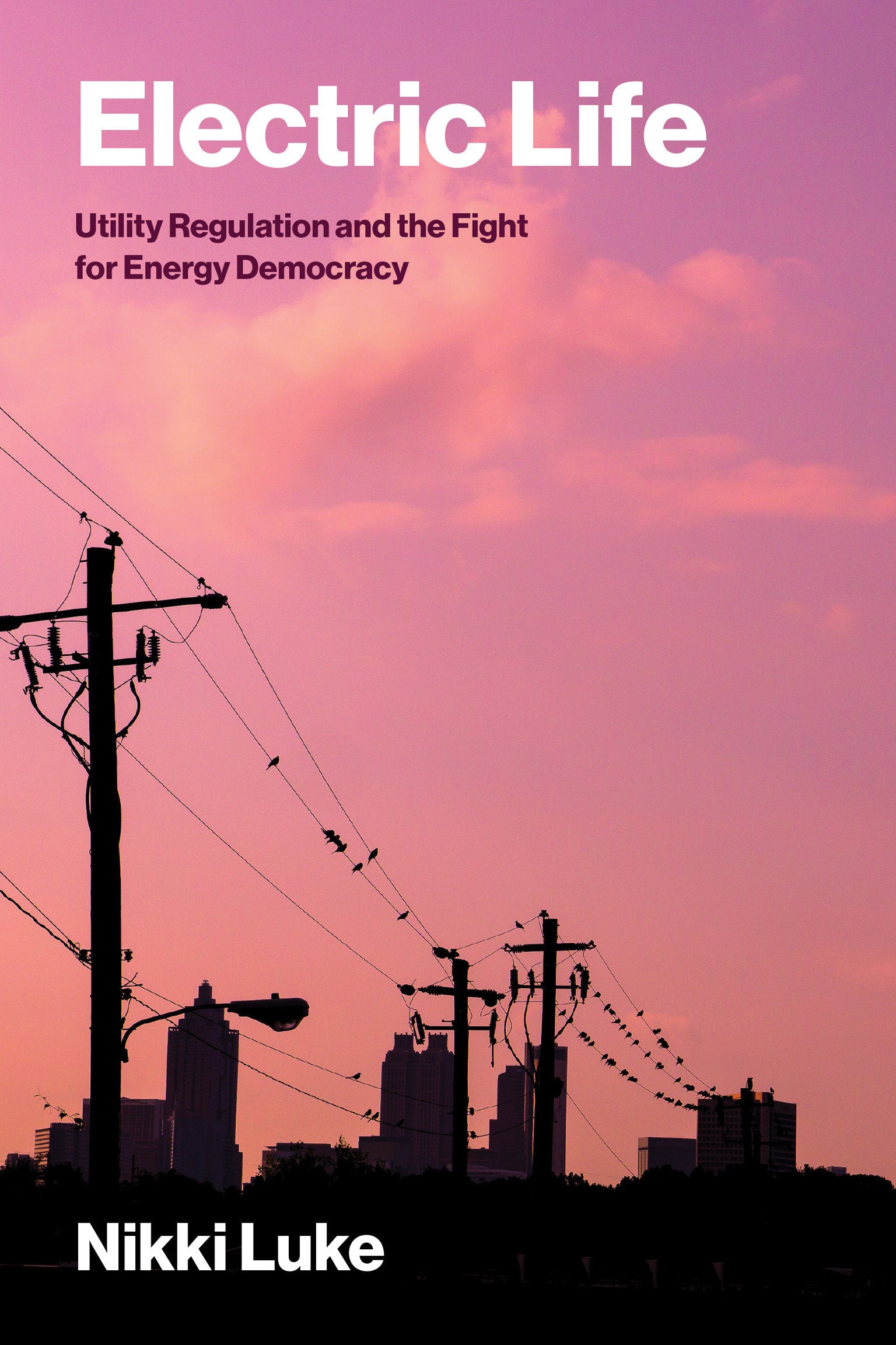 Electric Life - Utility Regulation and the Fight for Energy Democracy (Urban and Industrial Environments)