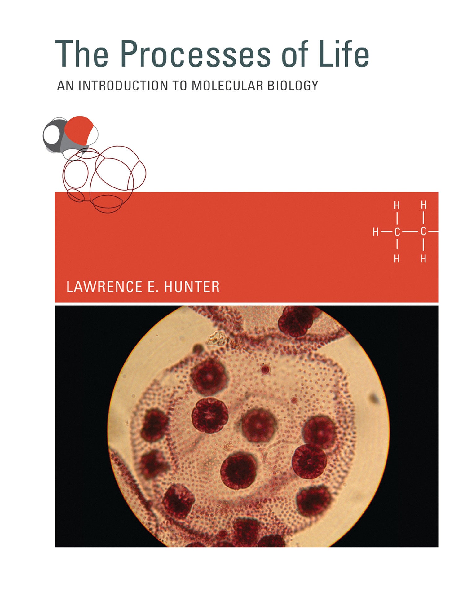 The Processes of Life - An Introduction to Molecular Biology
