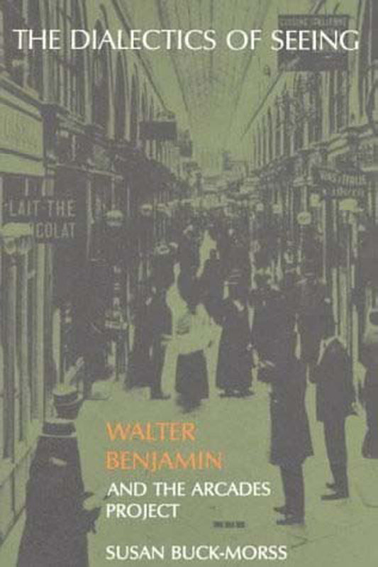 The Dialectics of Seeing - Walter Benjamin and the Arcades Project (Studies in Contemporary German Social Thought)