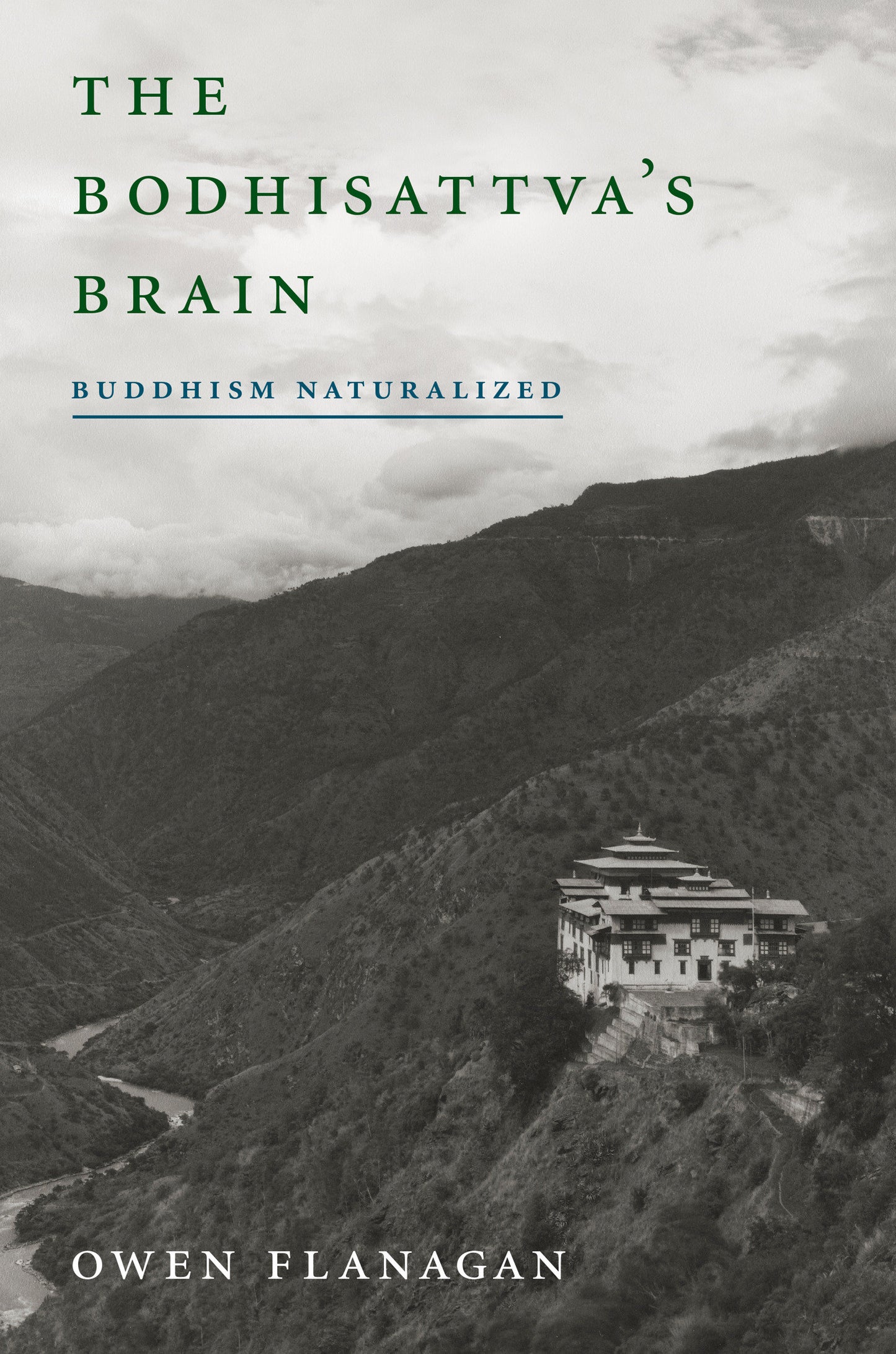 The Bodhisattva's Brain - Buddhism Naturalized