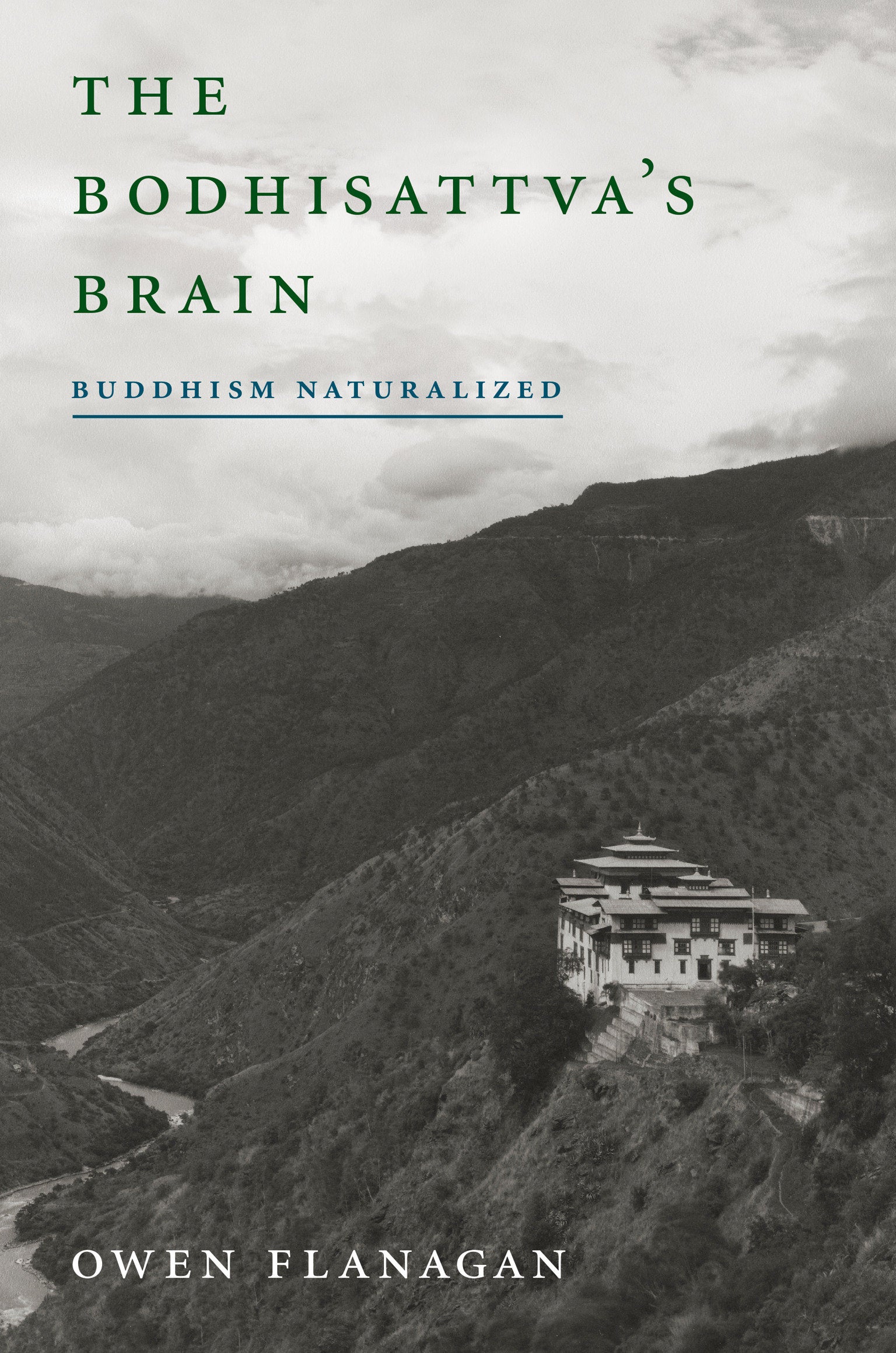The Bodhisattva's Brain - Buddhism Naturalized